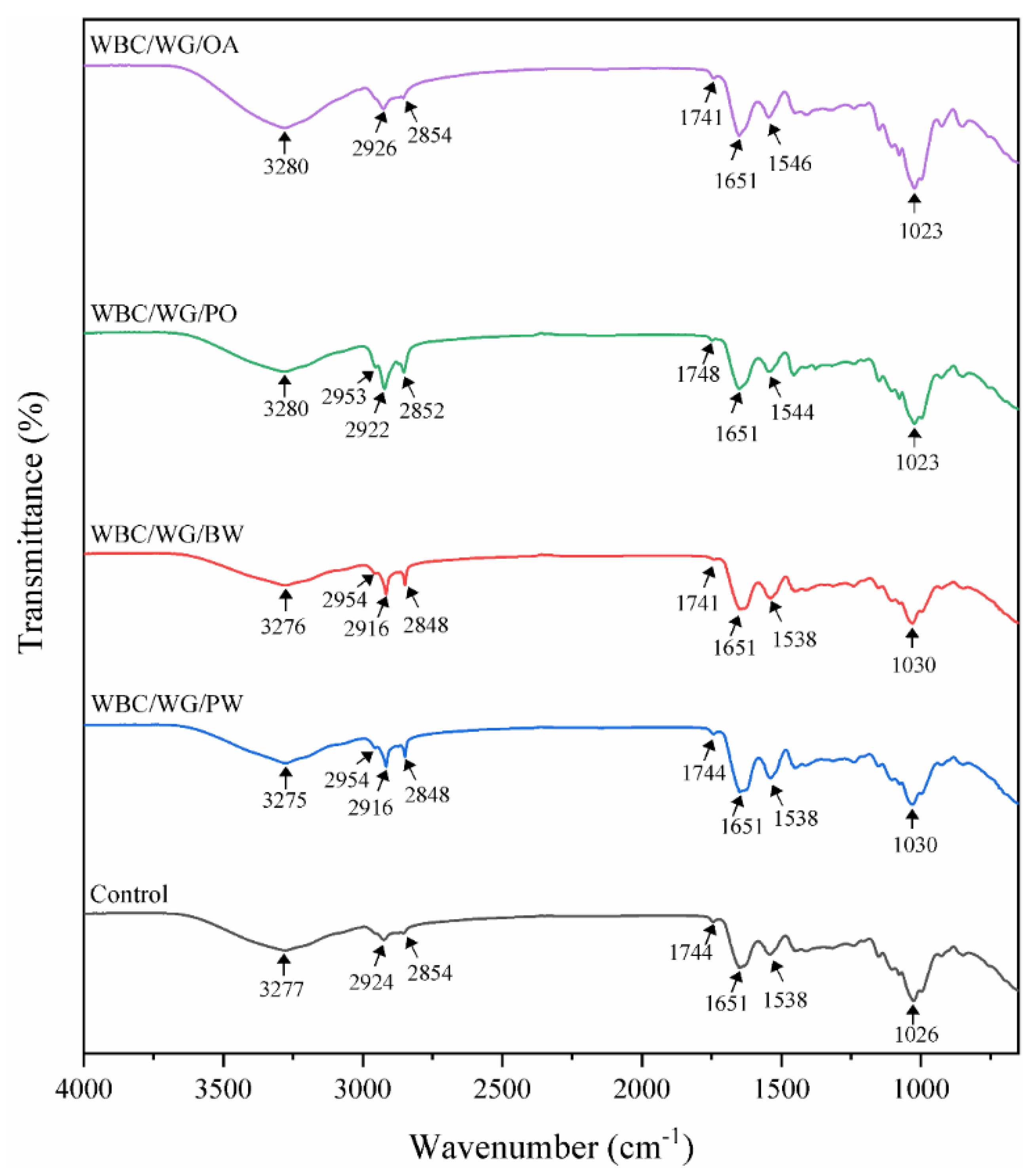 Membranes 12 00018 g002