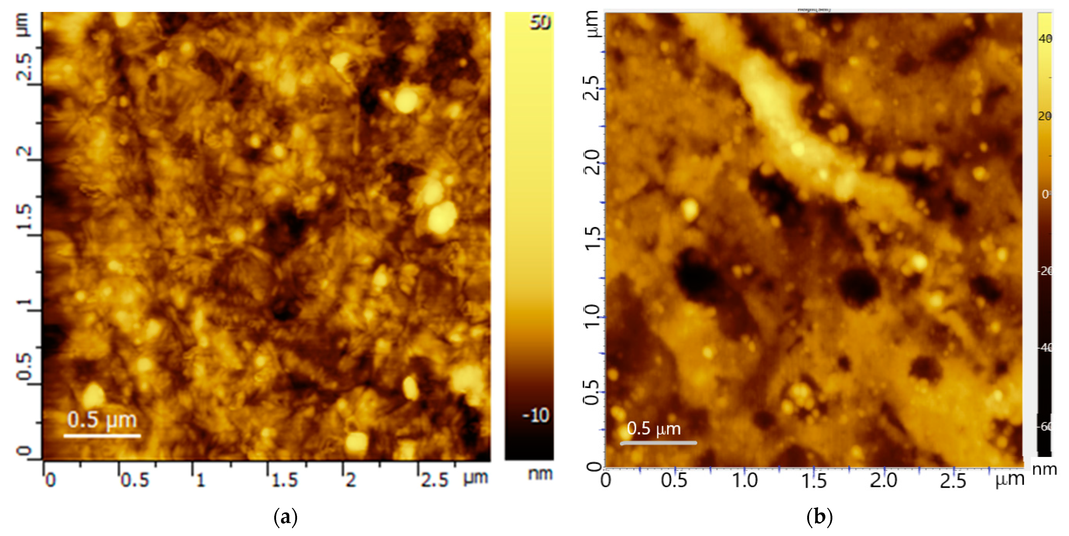 Membranes 12 00022 g003 550