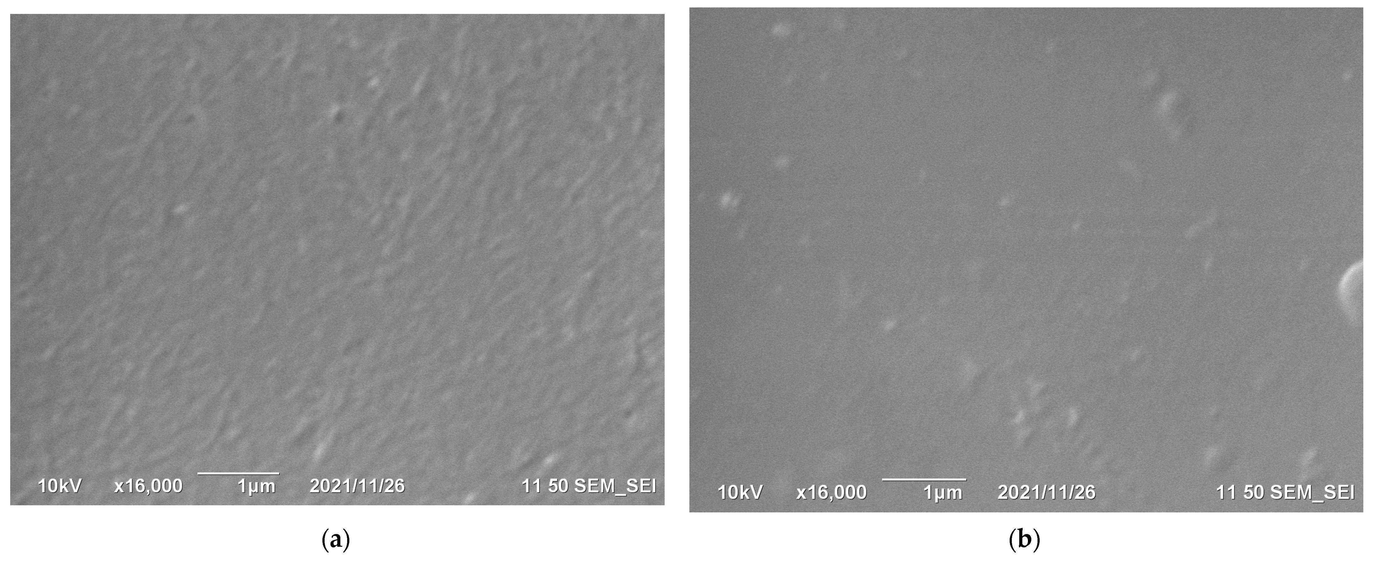 Membranes 12 00022 g004 550