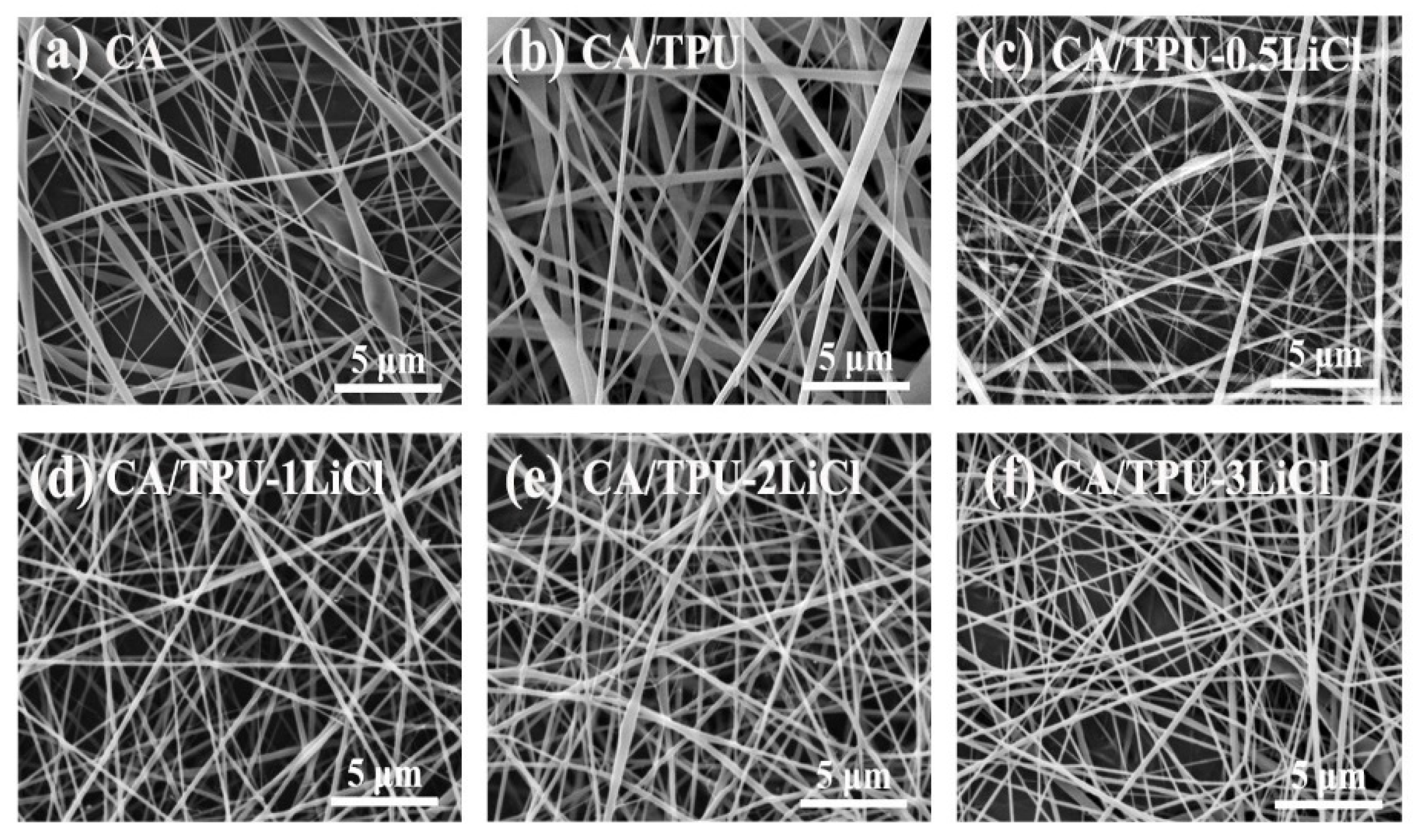 Membranes 12 00023 g002