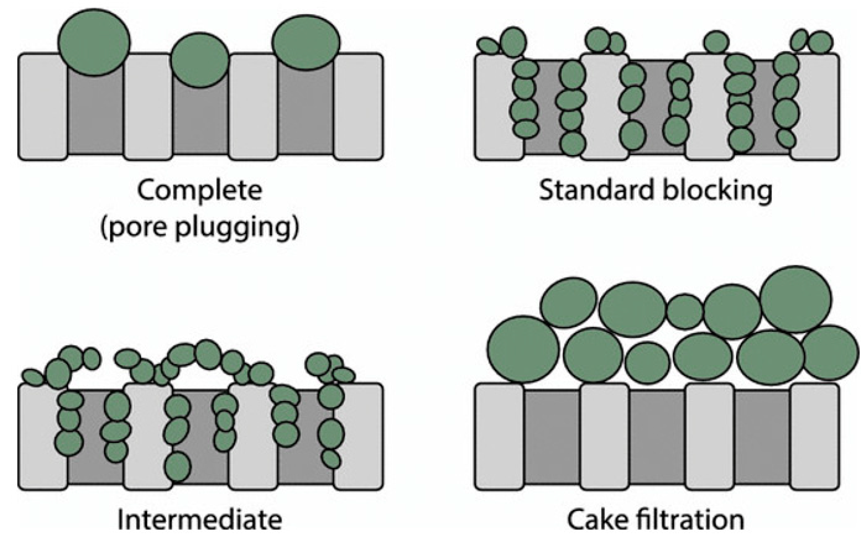 Membranes Free FullText Recent Mitigation Strategies on Membrane