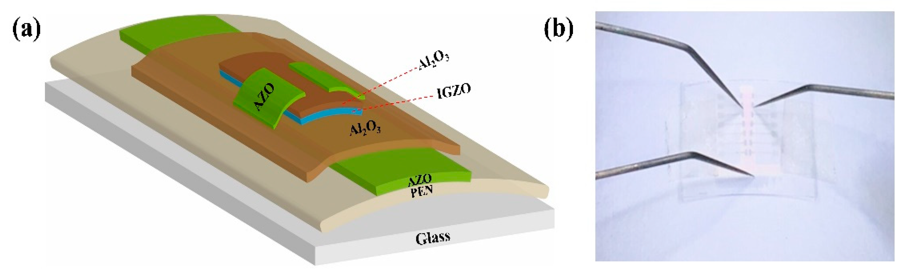 Membranes 12 00029 g001 550