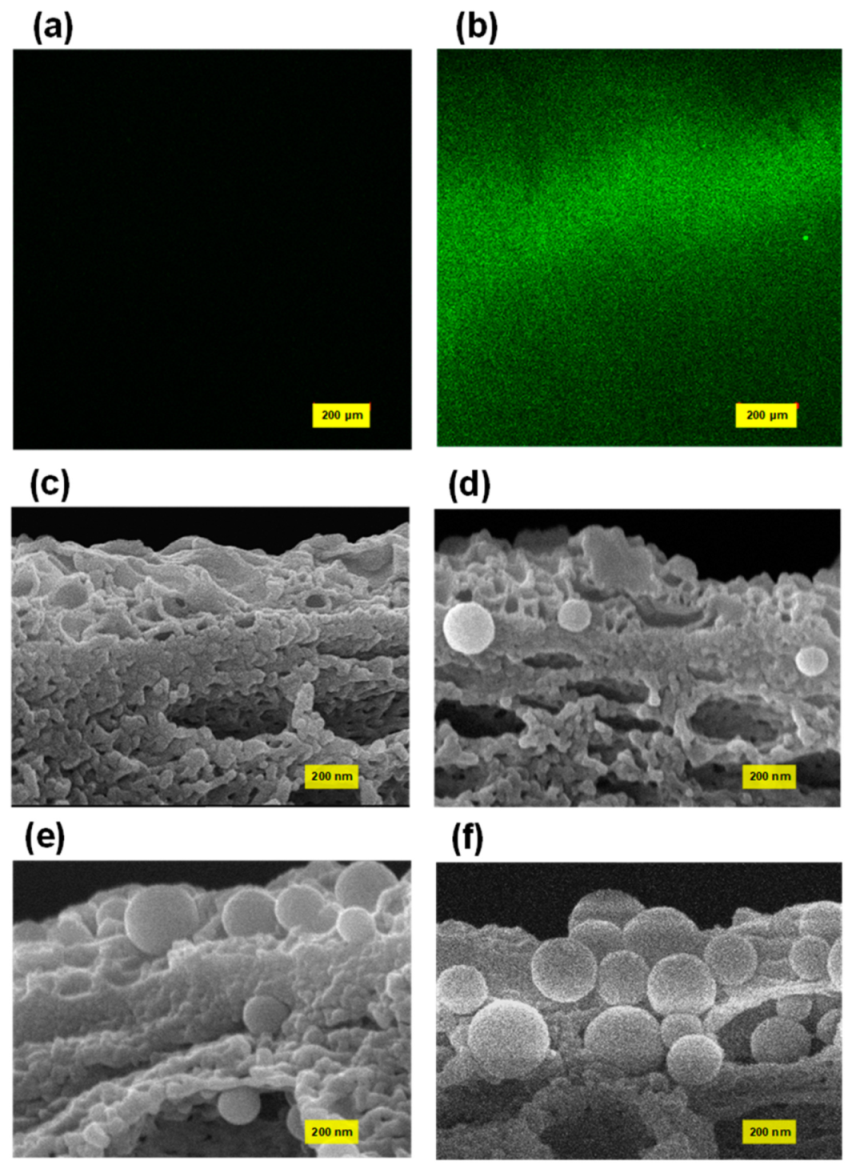 Membranes 12 00032 g001