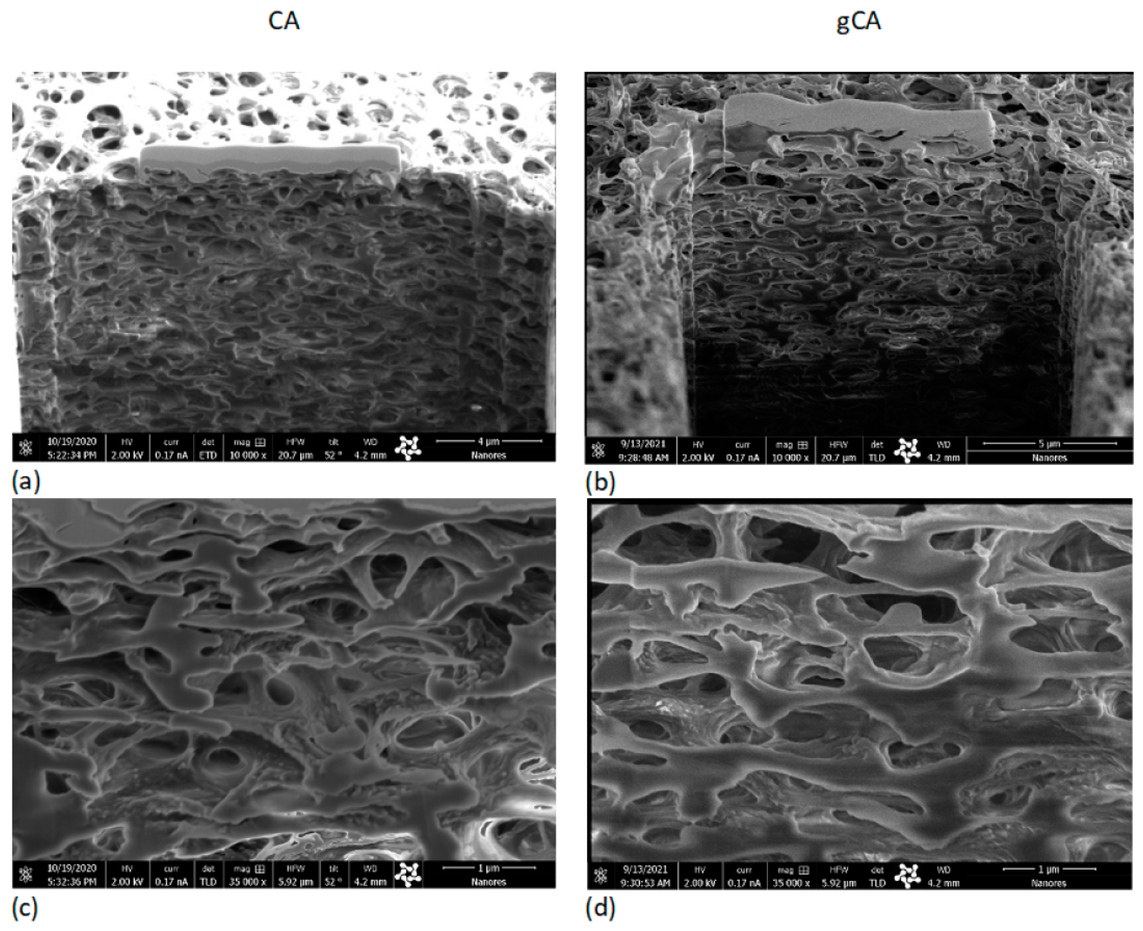 Membranes 12 00033 g004 550