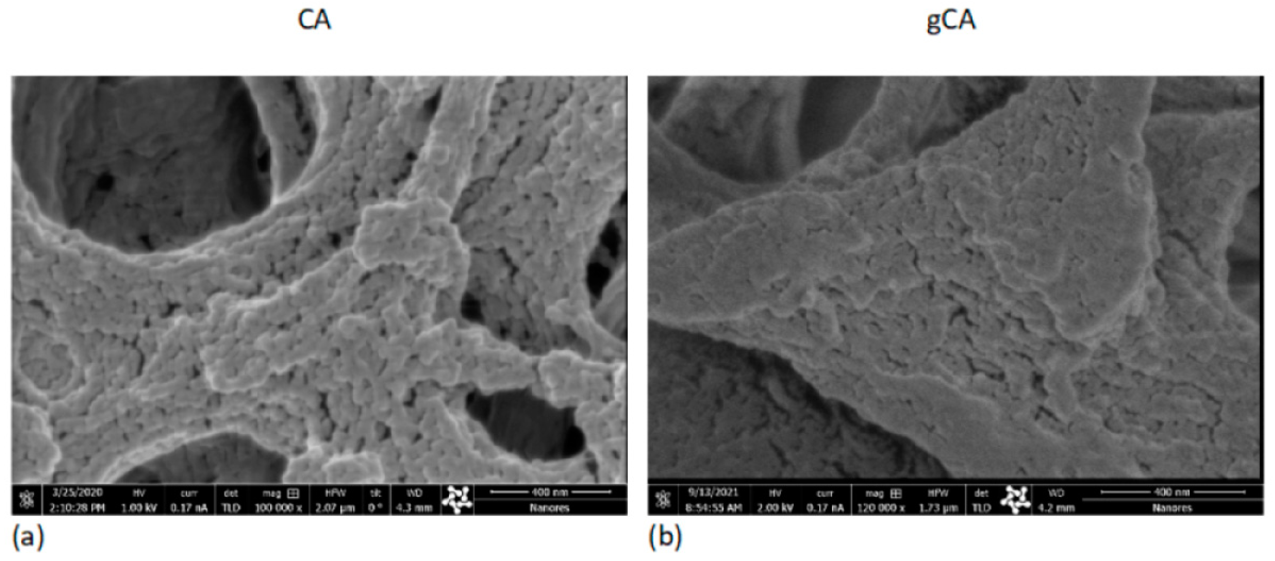 Membranes 12 00033 g005 550