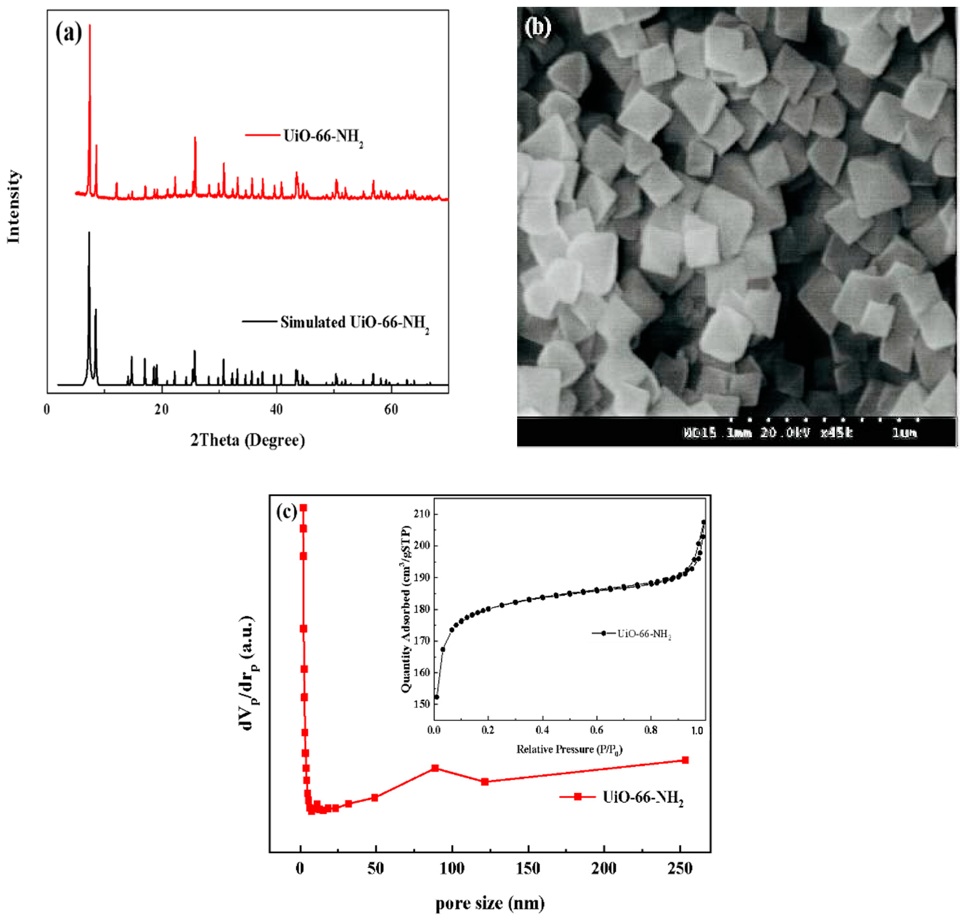 Membranes 12 00034 g001