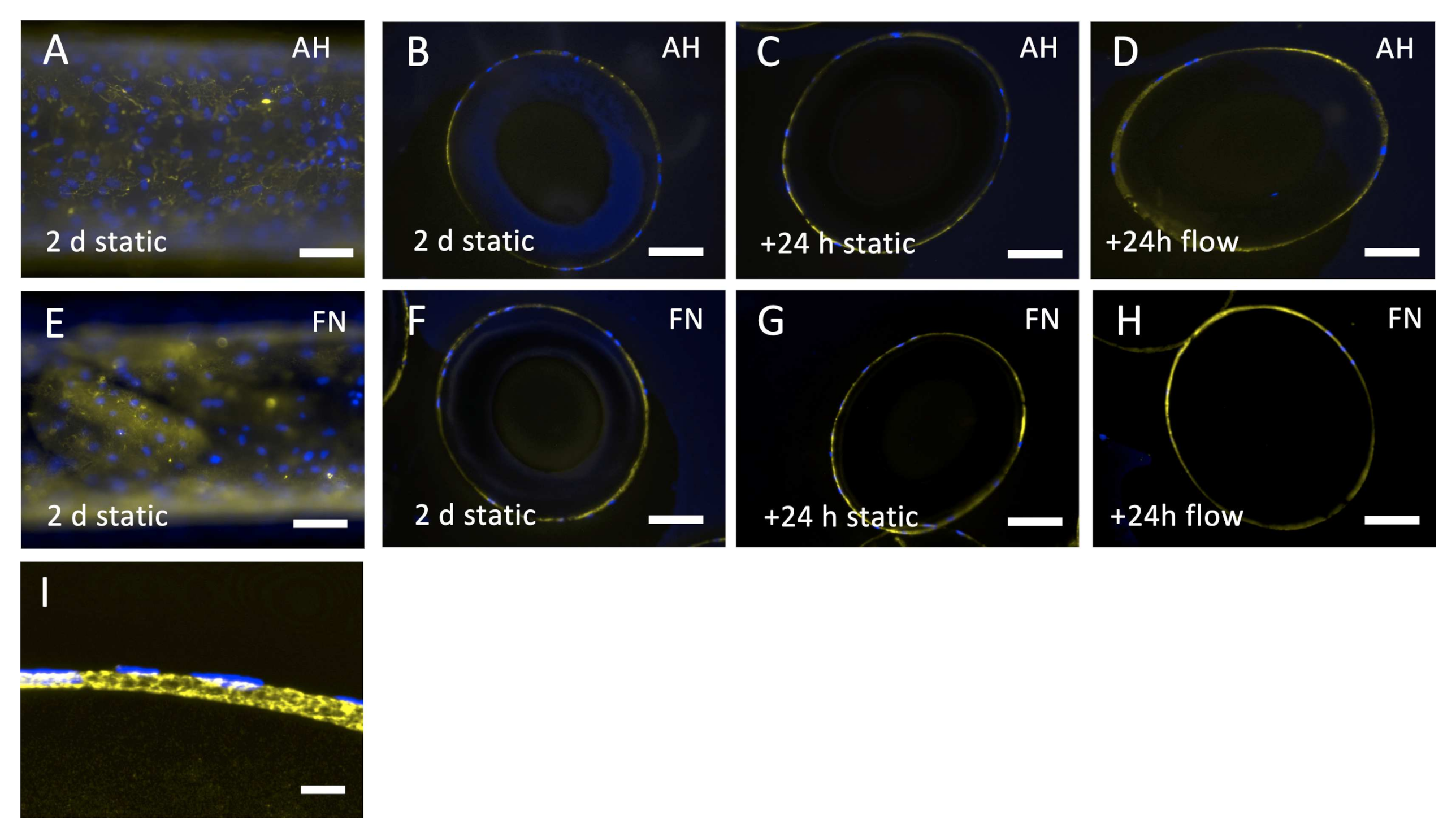 Membranes 12 00035 g009 Membranes 12 00035 g009