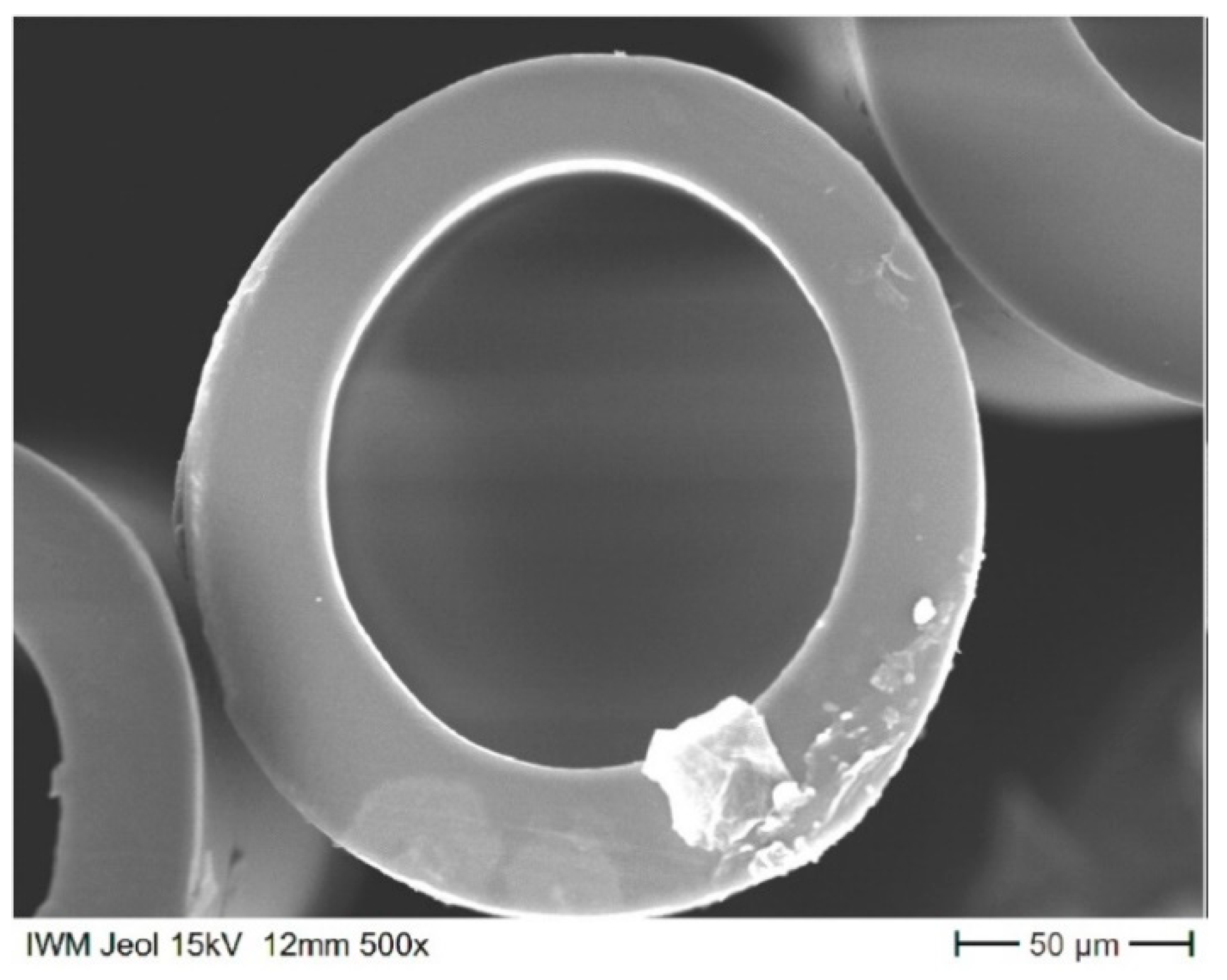 Membranes 12 00036 g002