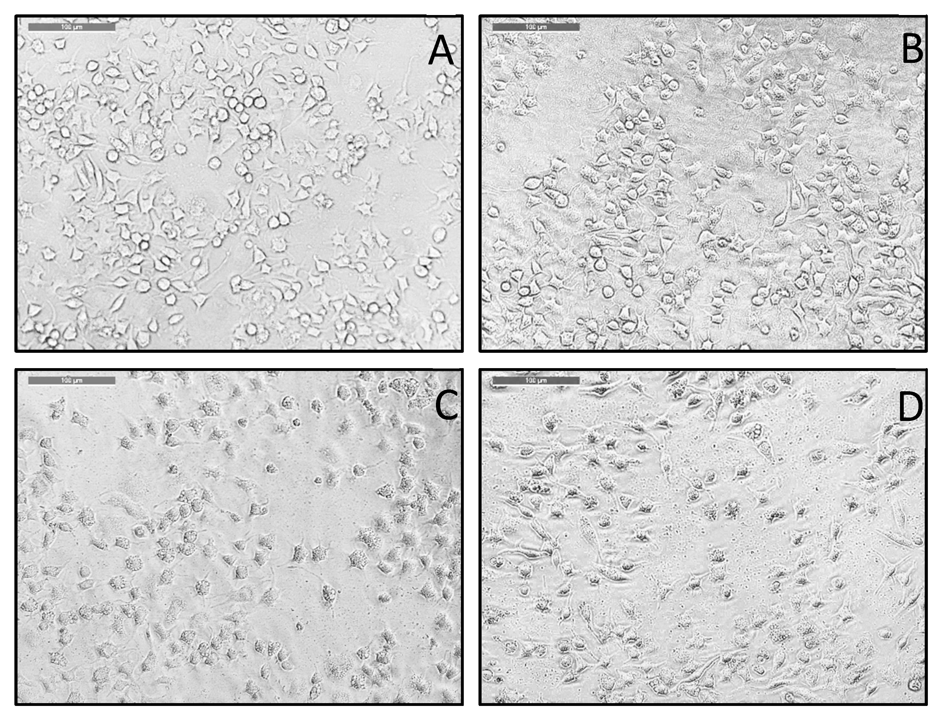 Membranes 12 00037 g004 Membranes 12 00037 g004
