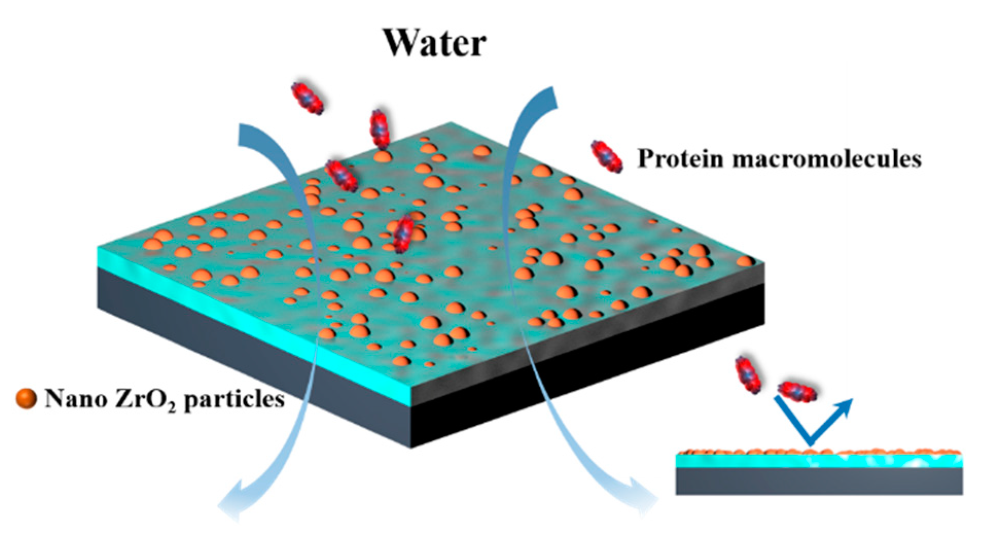Membranes 12 00042 g004