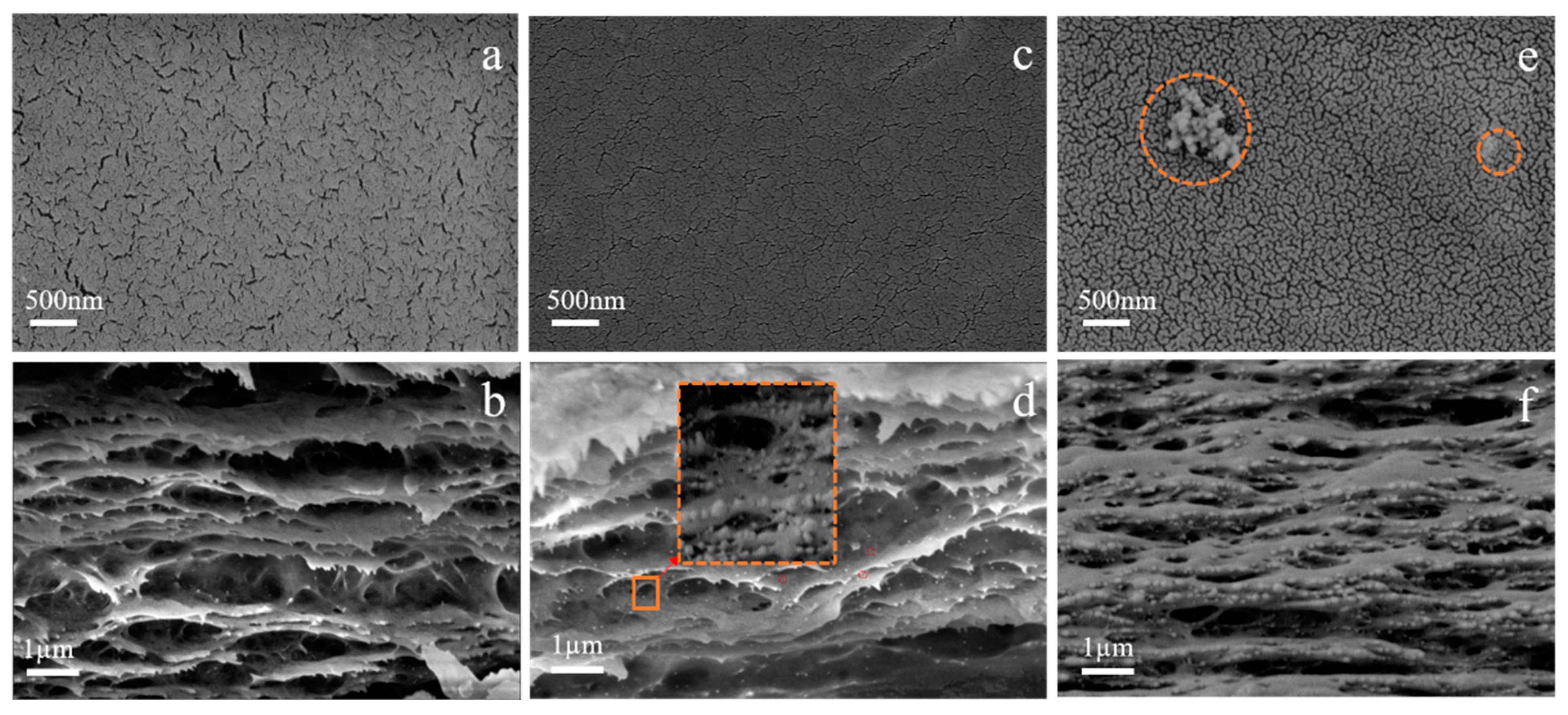 Membranes 12 00042 g008