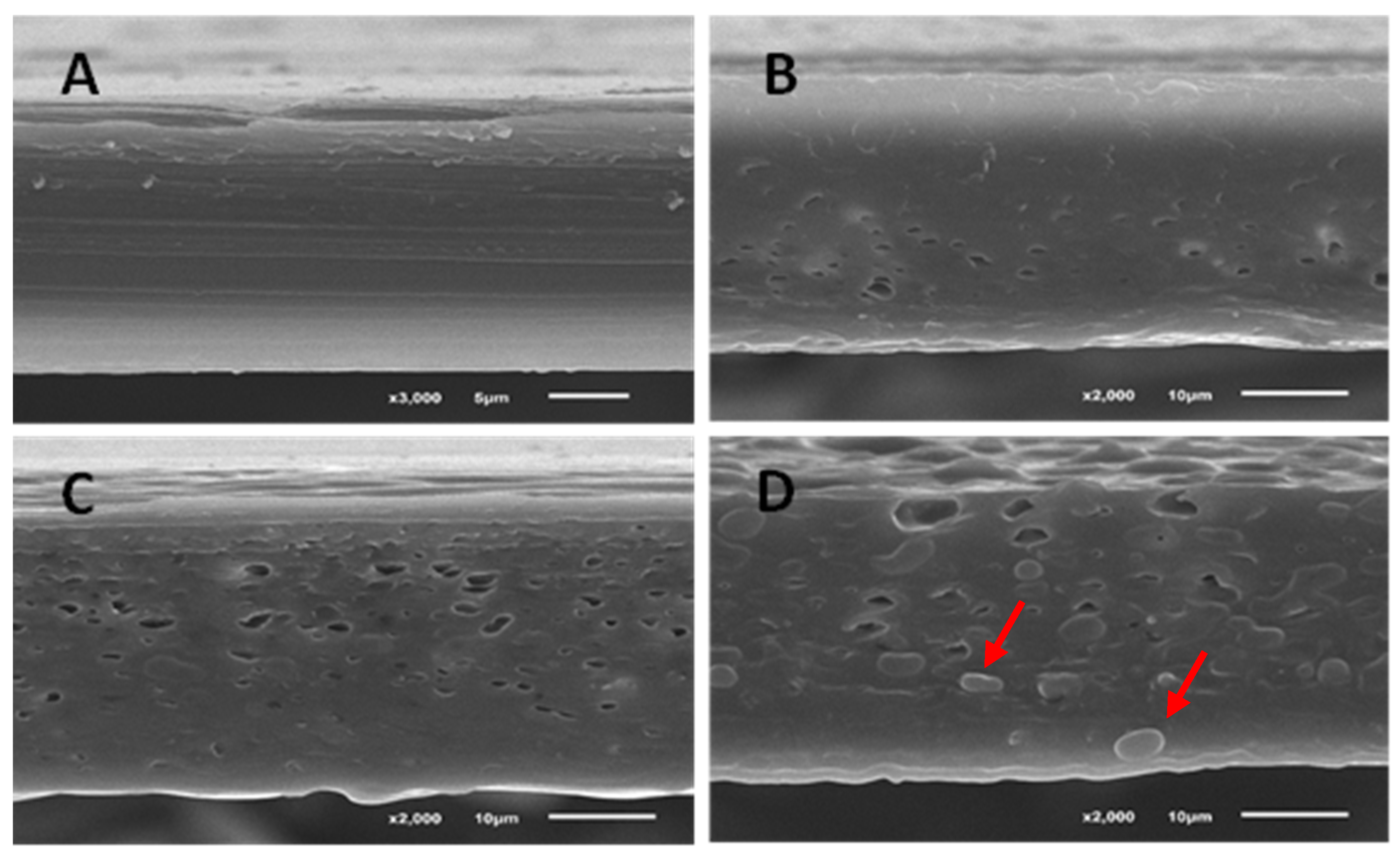 Membranes 12 00046 g002