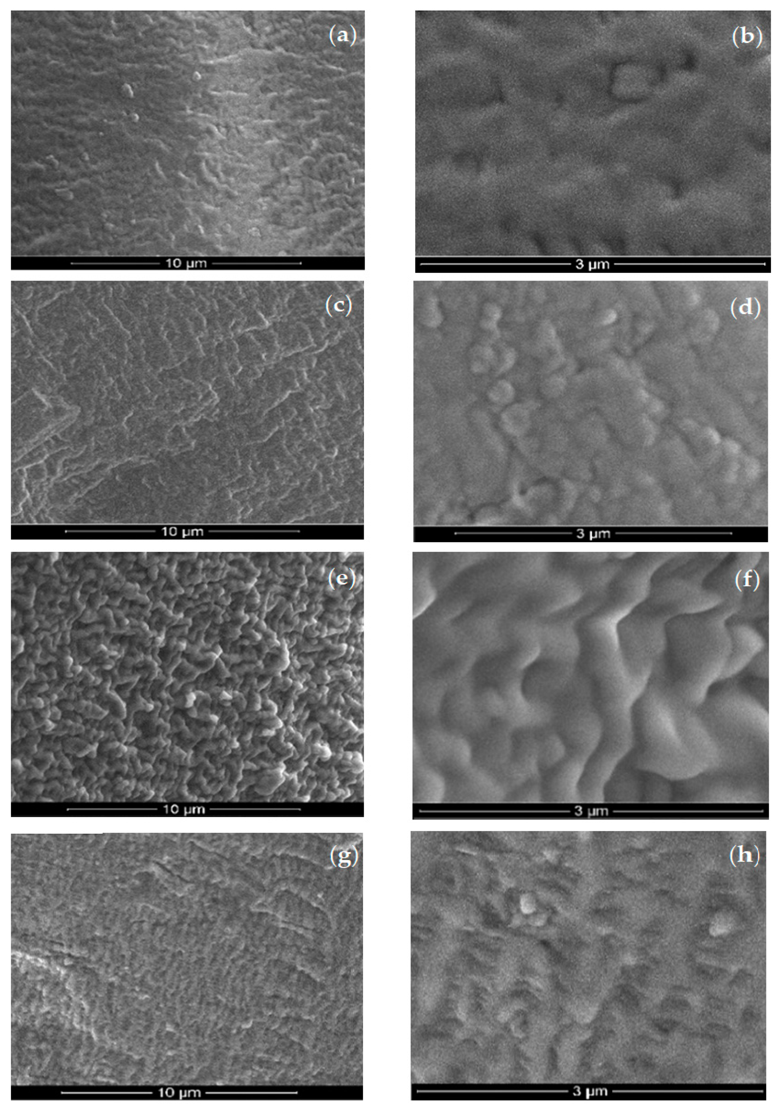 Membranes 12 00051 g004