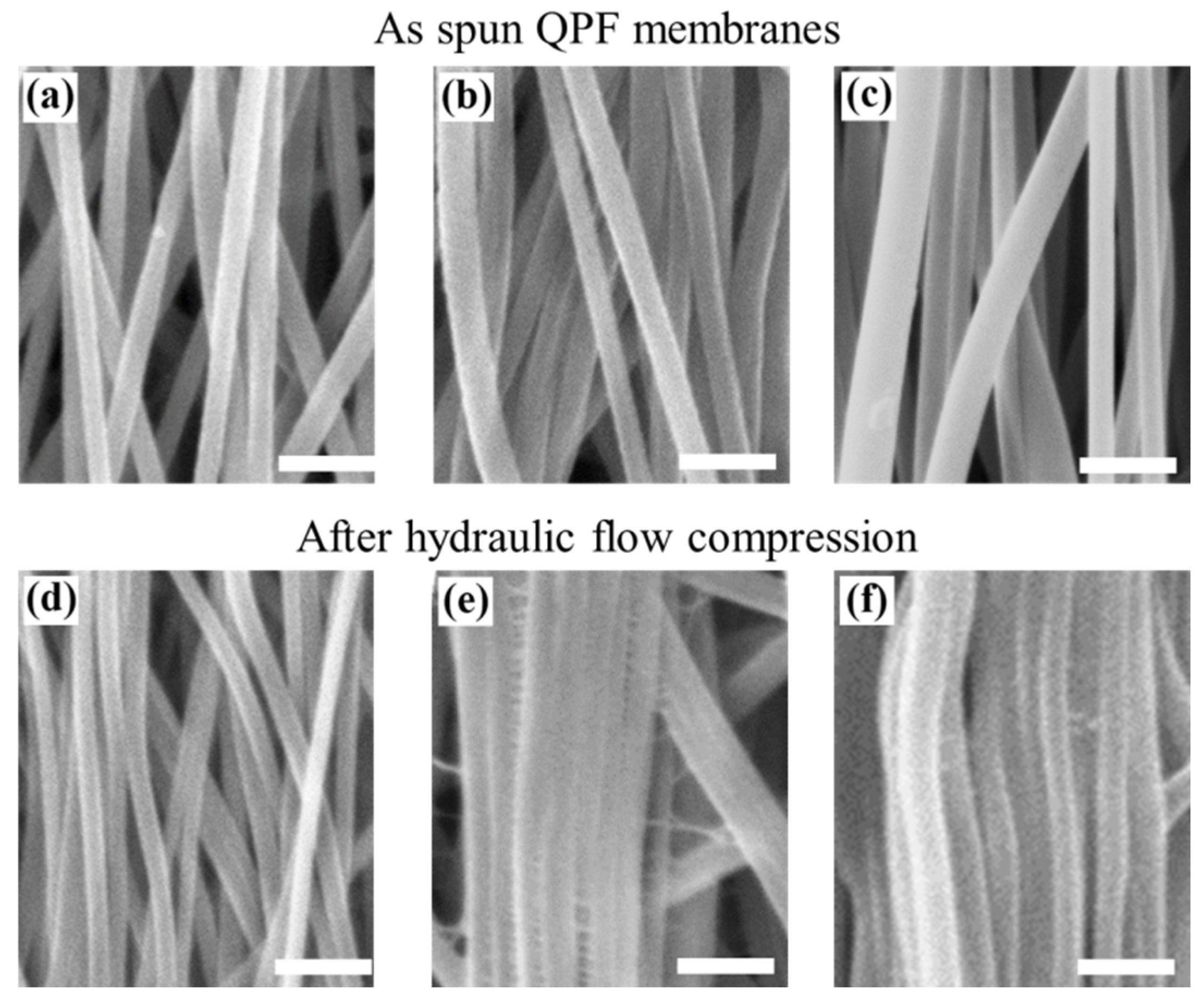 Membranes 12 00054 g003