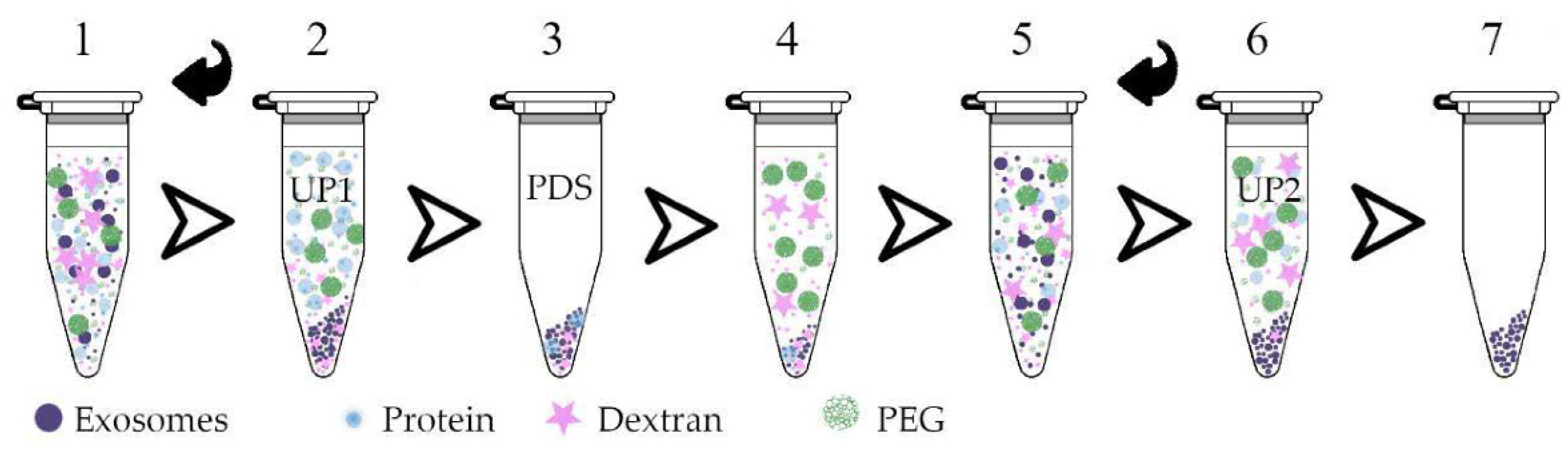 Membranes 12 00055 g004 Membranes 12 00055 g004