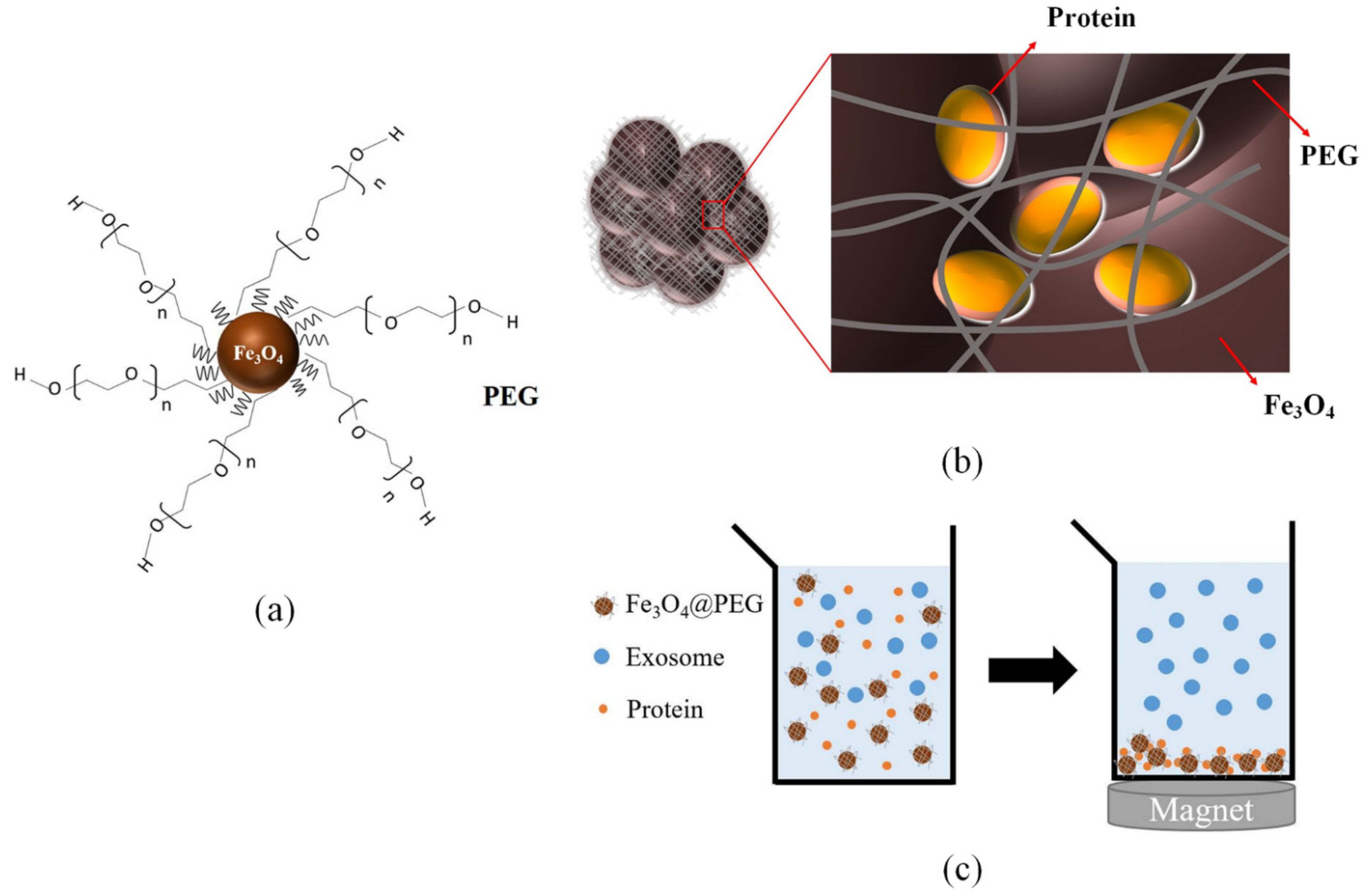 Membranes 12 00055 g005 Membranes 12 00055 g005