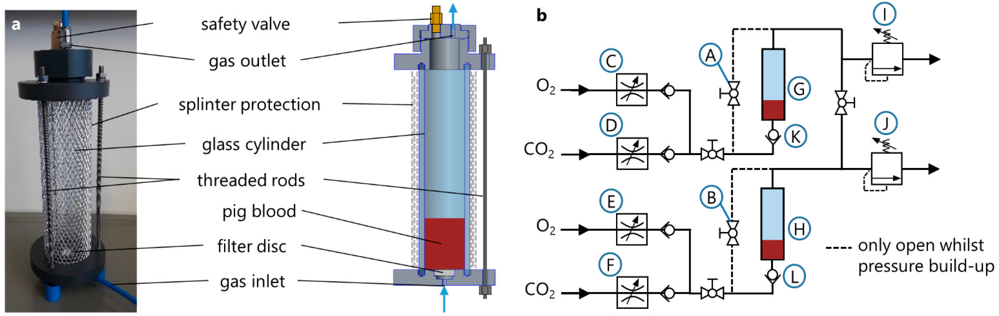 Membranes 12 00056 g003