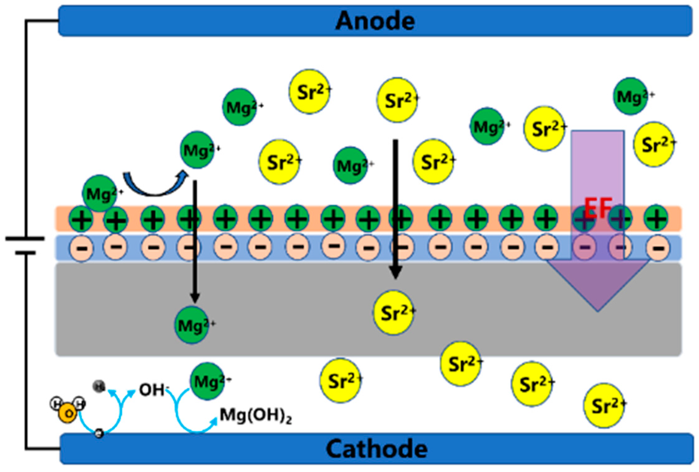 Membranes 12 00057 sch002