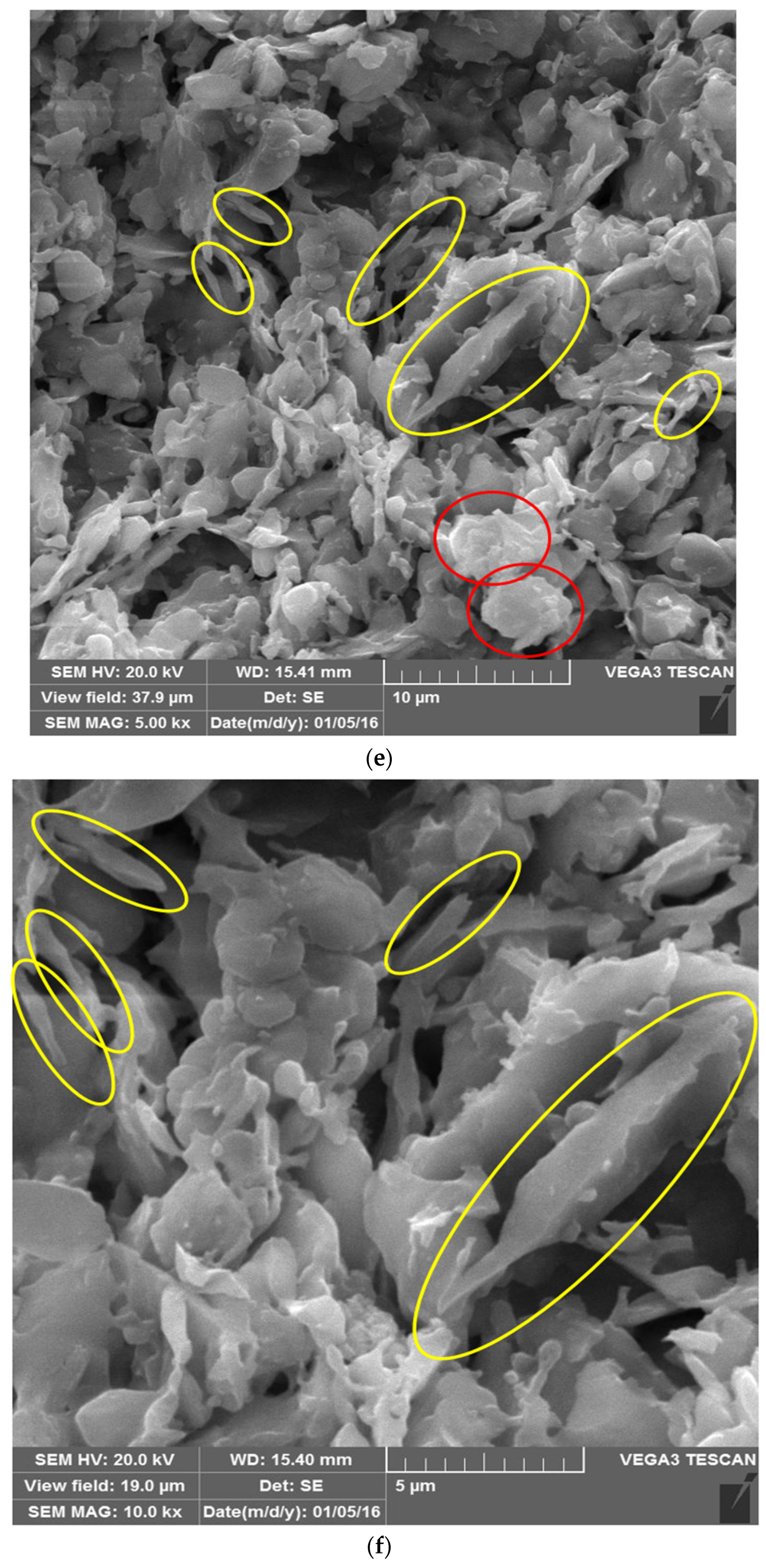 Membranes 12 00059 g006c 550