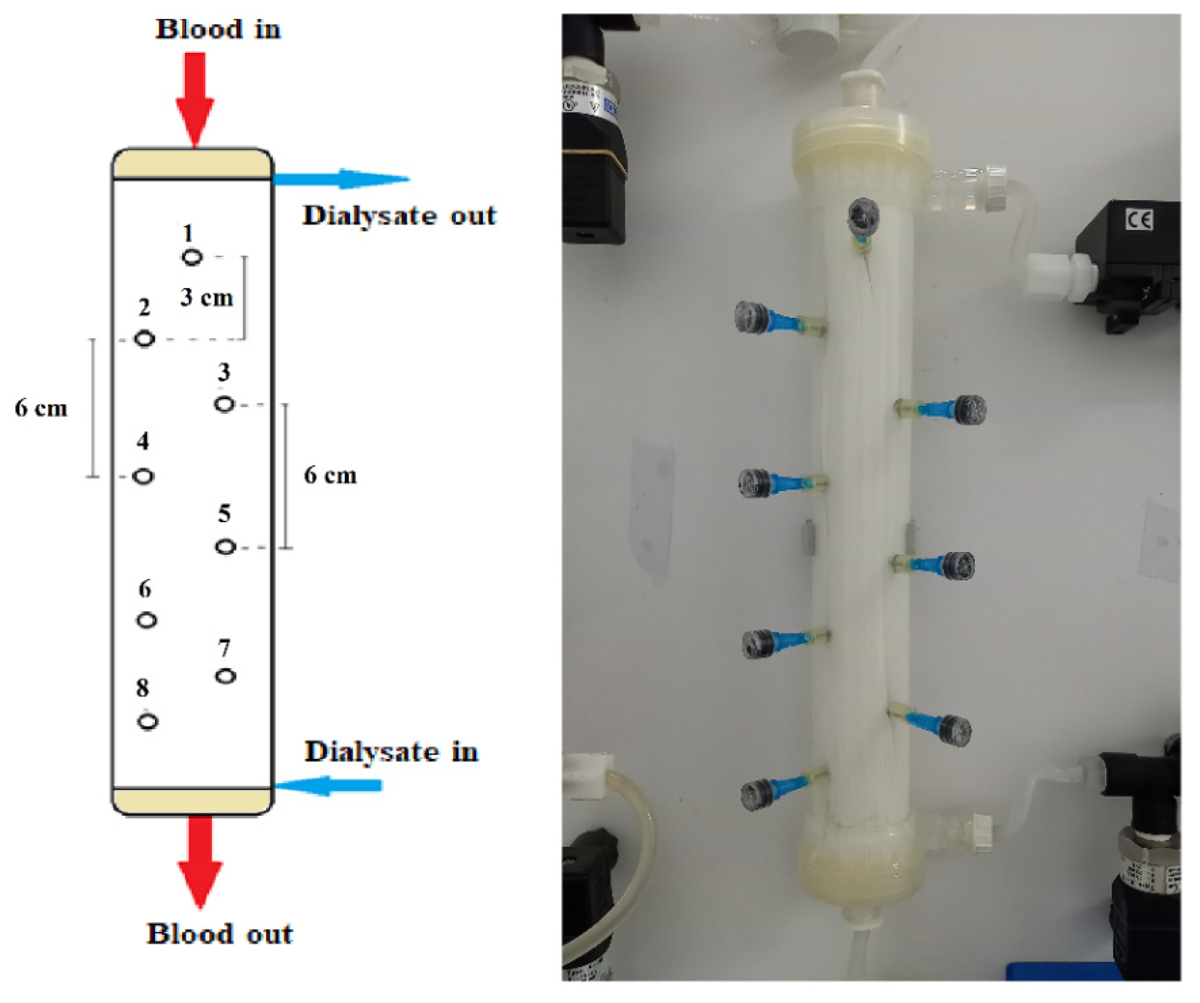 Membranes 12 00062 g002