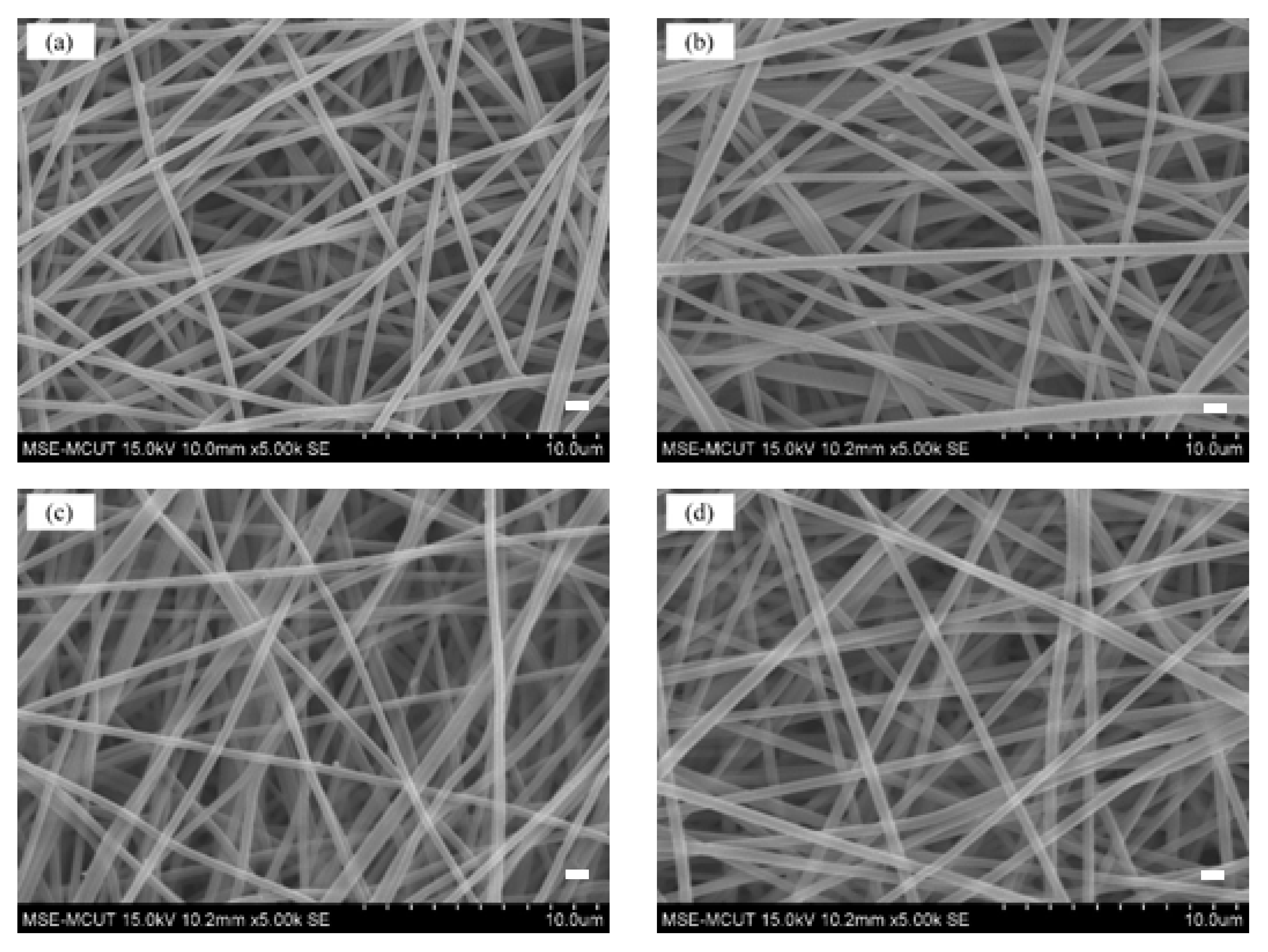 Membranes 12 00063 g003