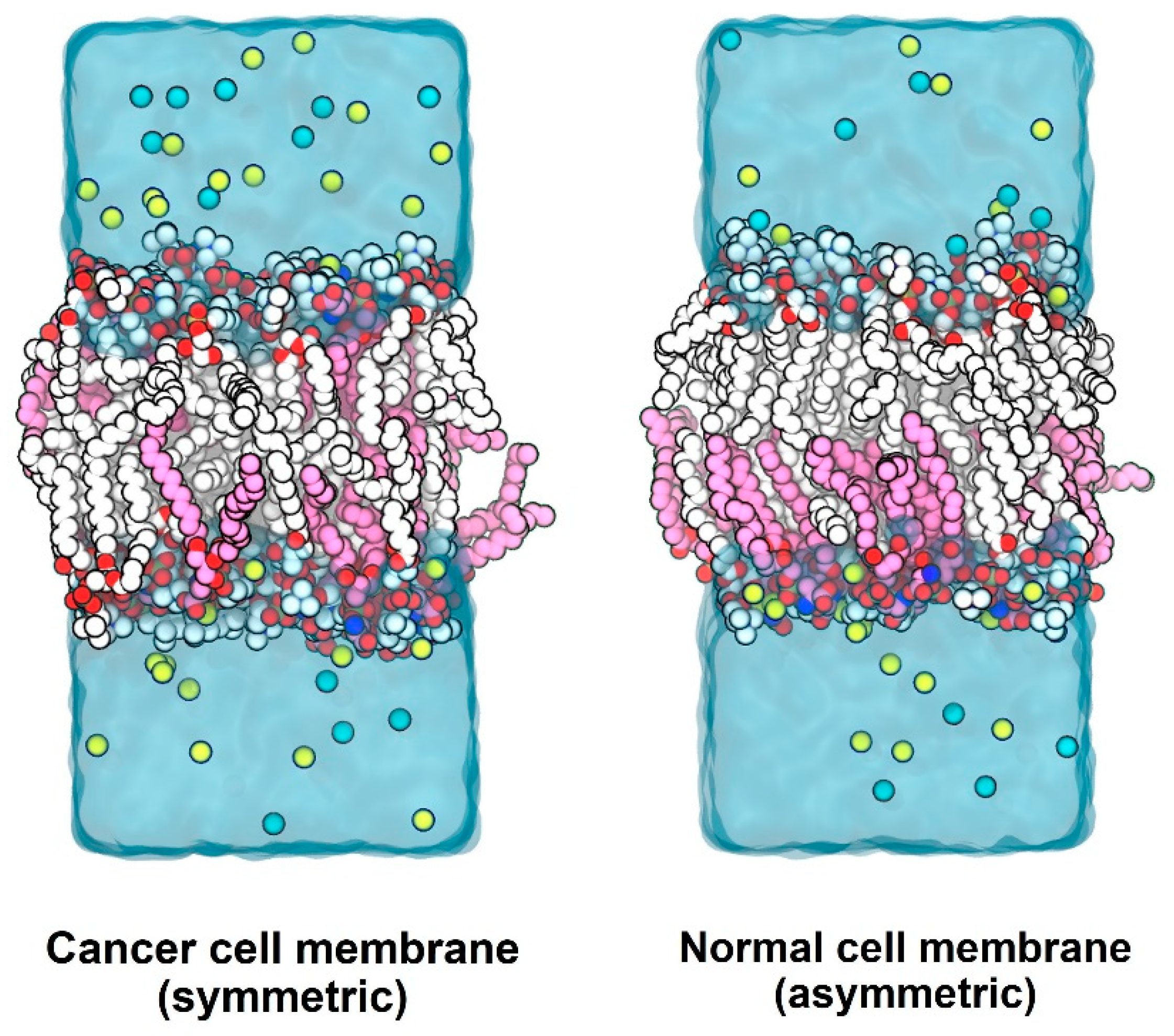 Membranes 12 00064 g002