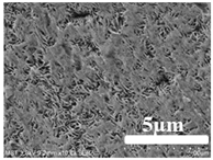 Membranes 12 00065 i003