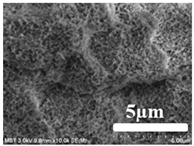 Membranes 12 00065 i004
