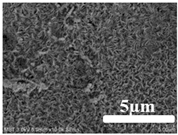 Membranes 12 00065 i012