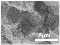 Membranes 12 00065 i016