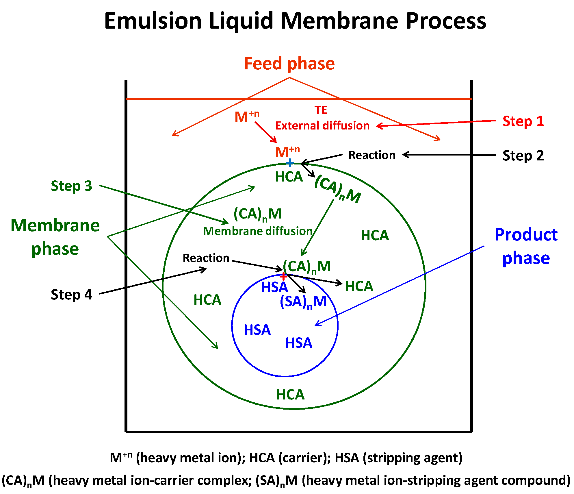 Membranes 12 00066 g001 550