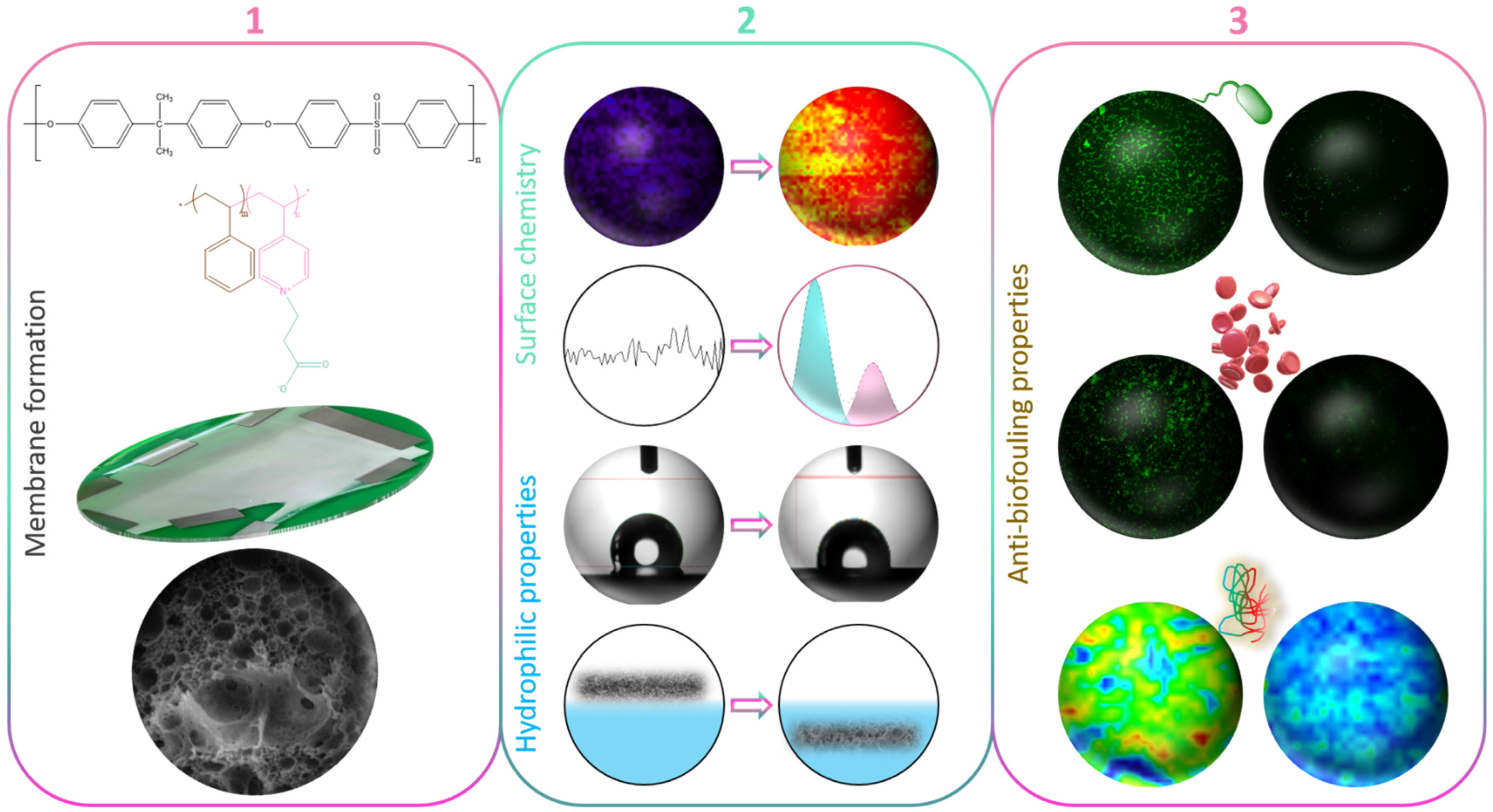 Membranes 12 00069 g001