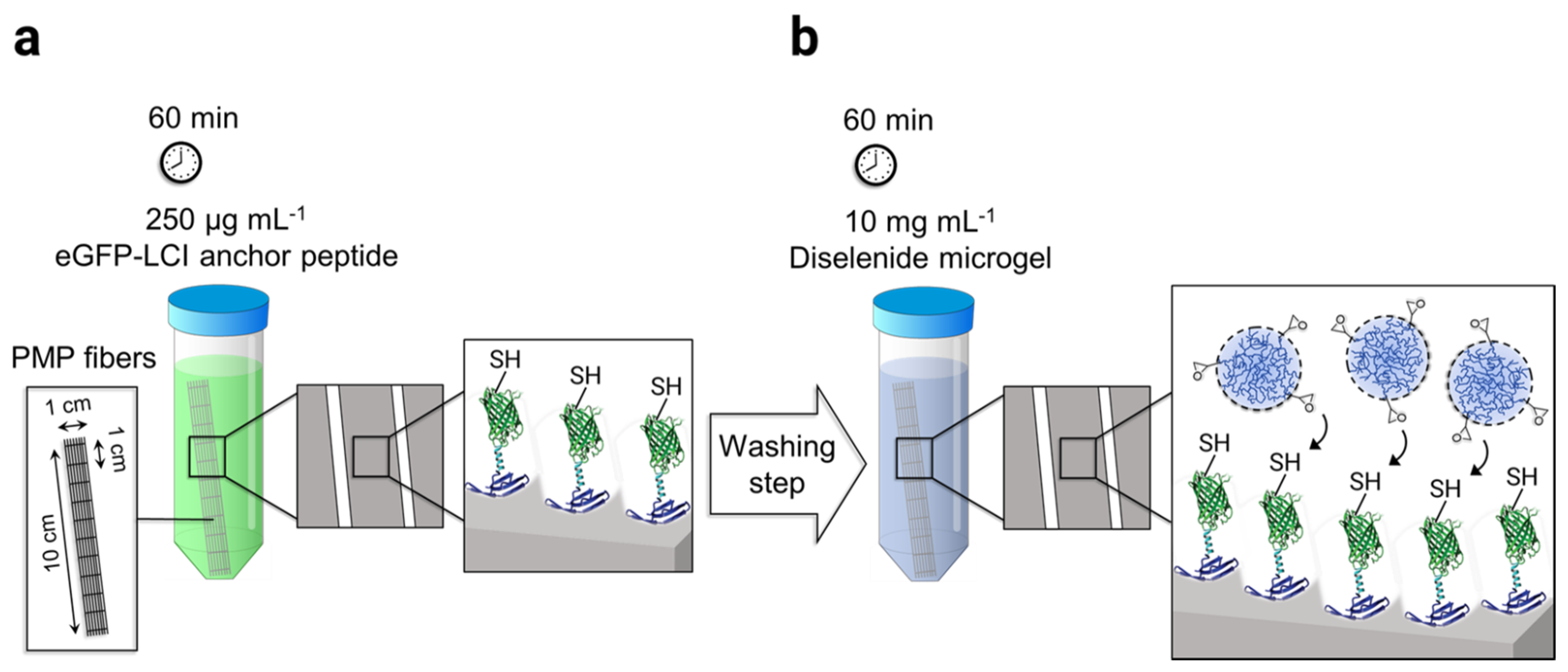 Membranes 12 00073 sch002 Membranes 12 00073 sch002