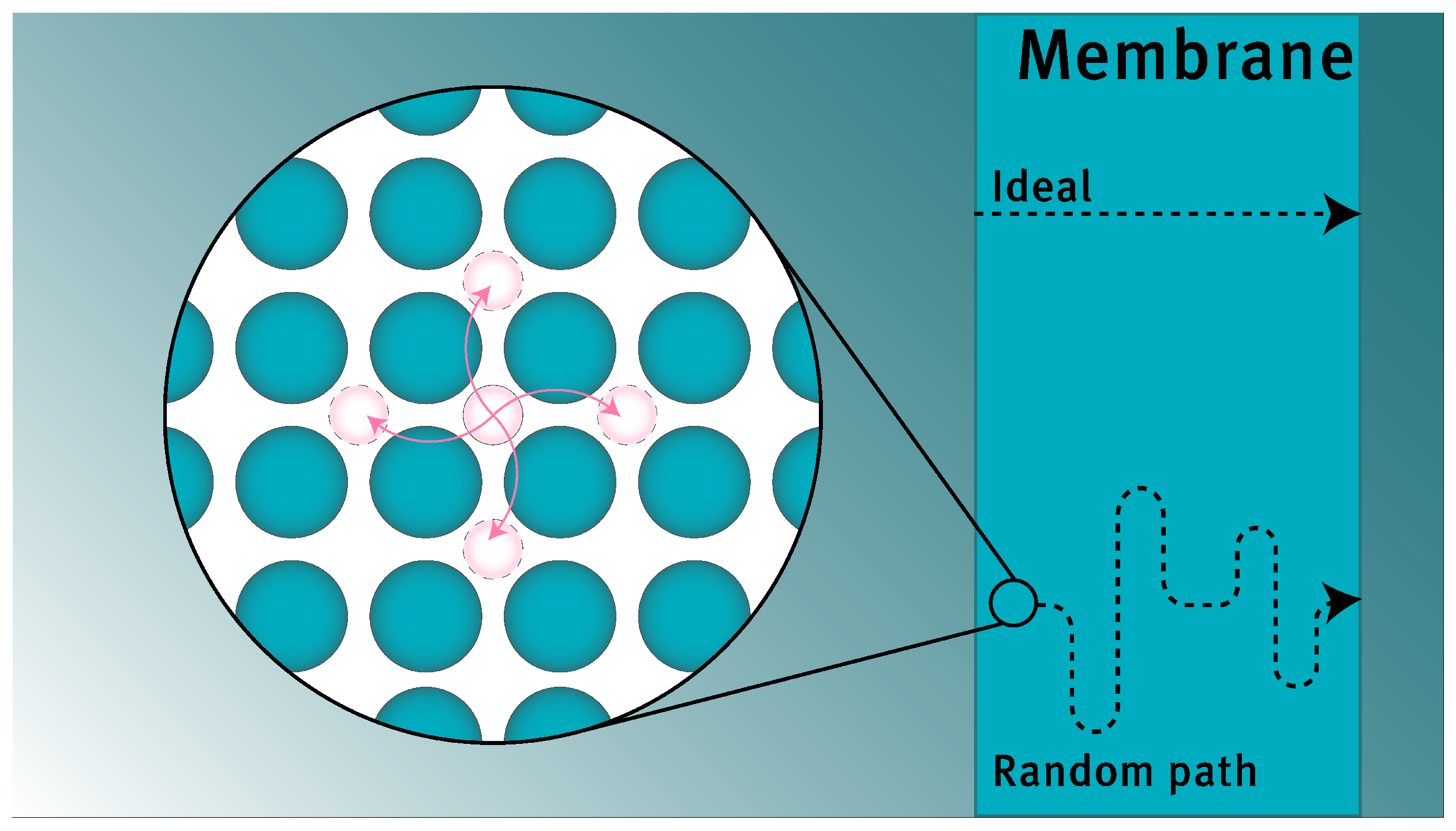 Membranes 12 00075 g002