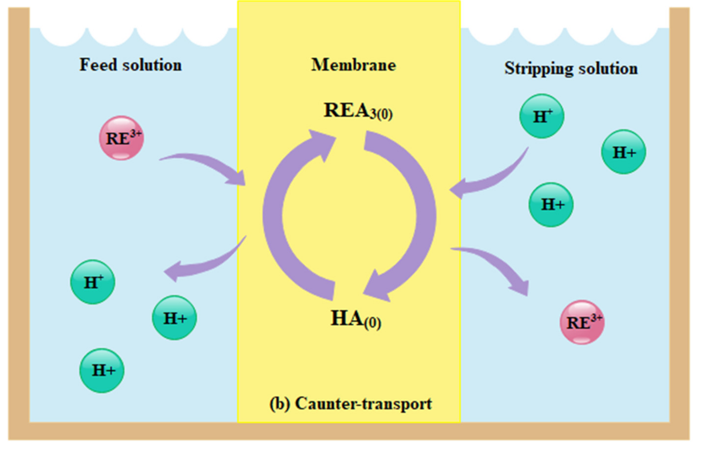 Membranes 12 00080 g002b