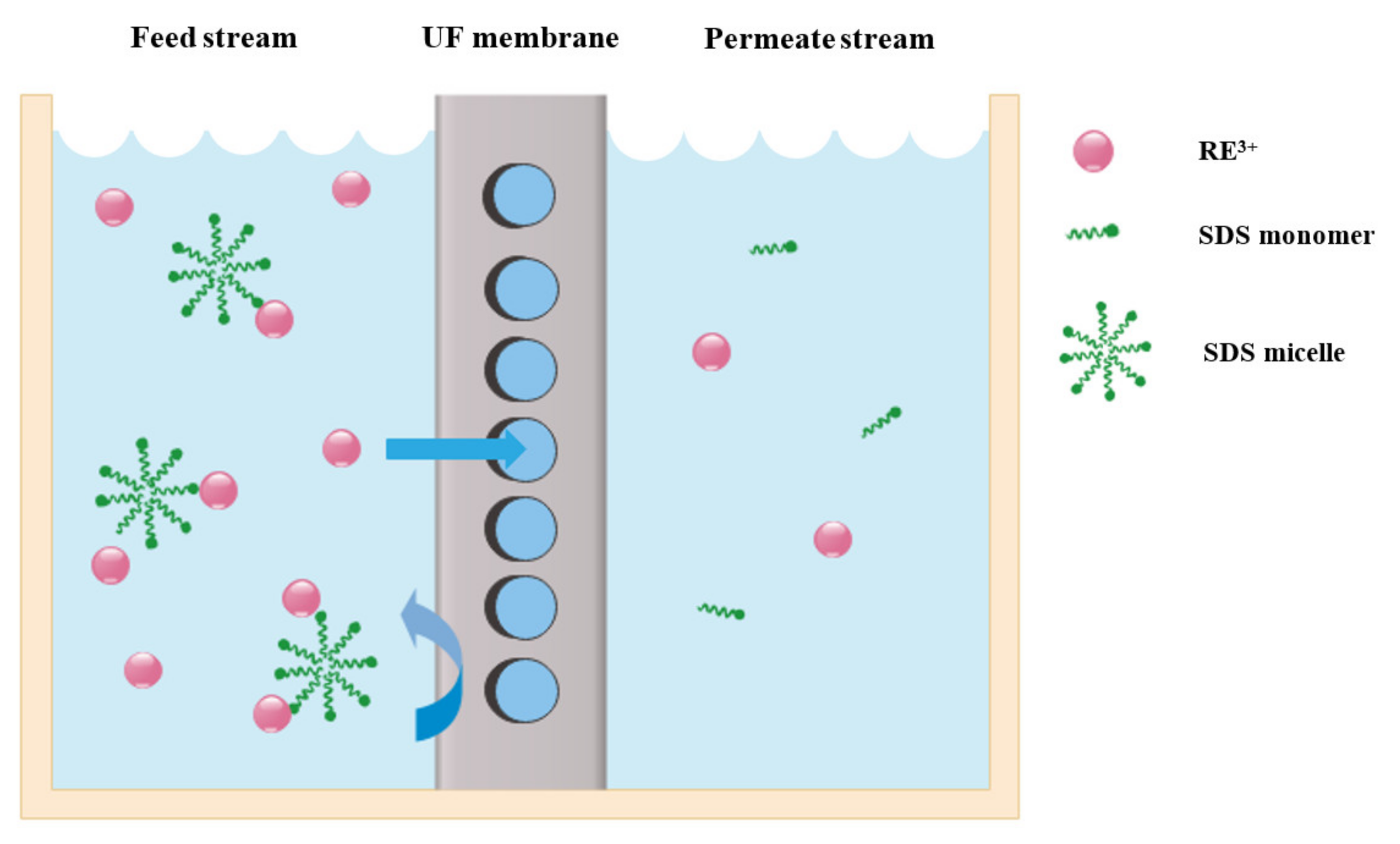 Membranes 12 00080 g007