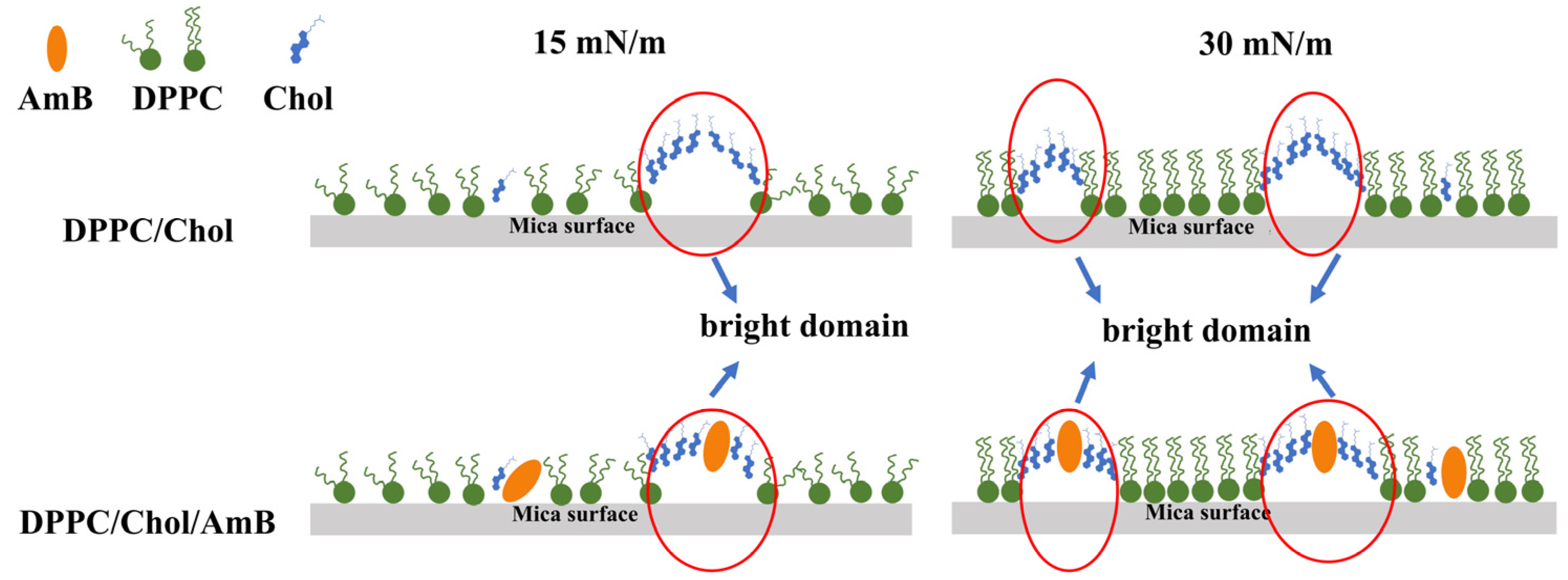 Membranes 12 00084 g007 Membranes 12 00084 g007