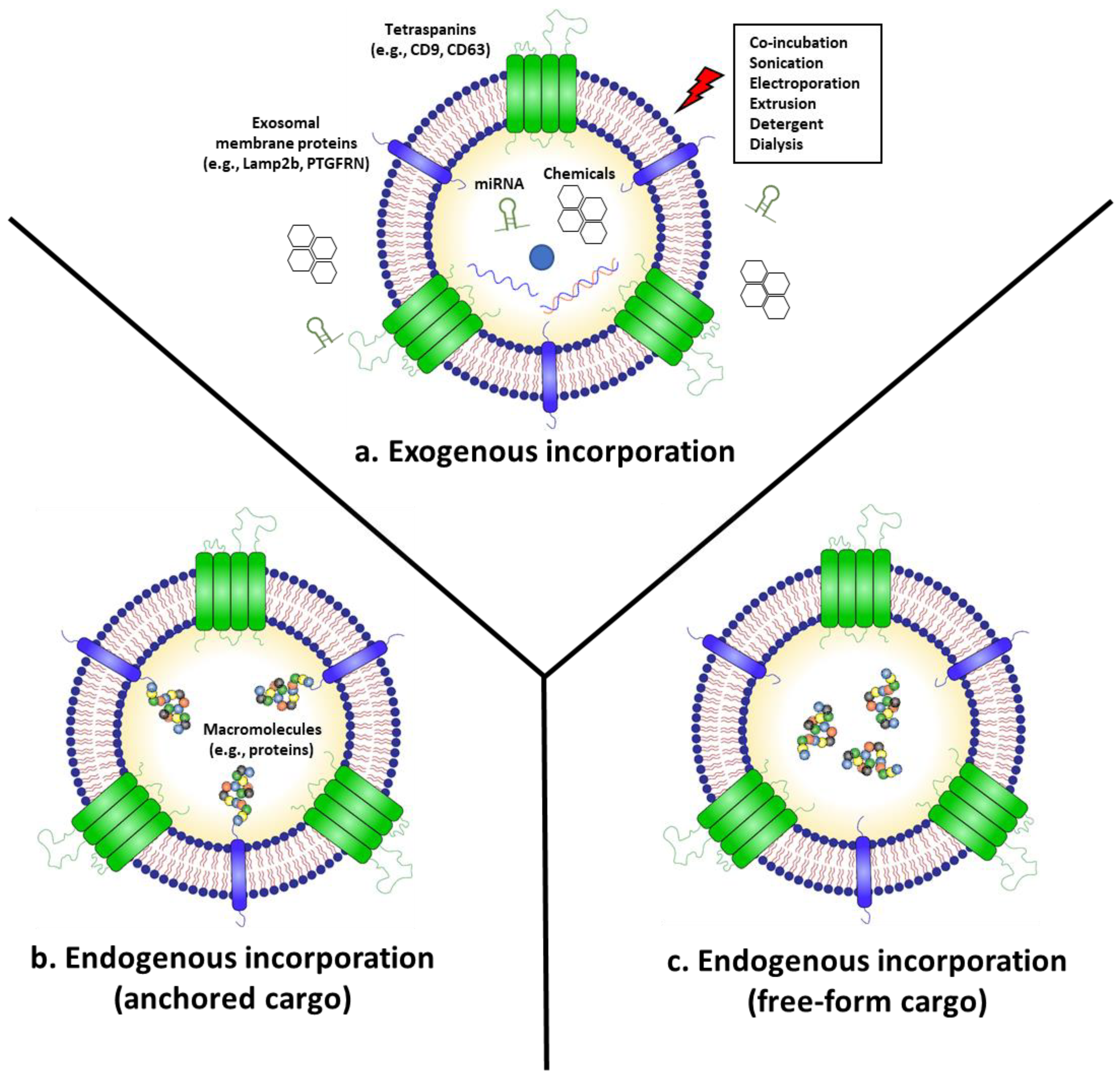 Membranes 12 00085 g001