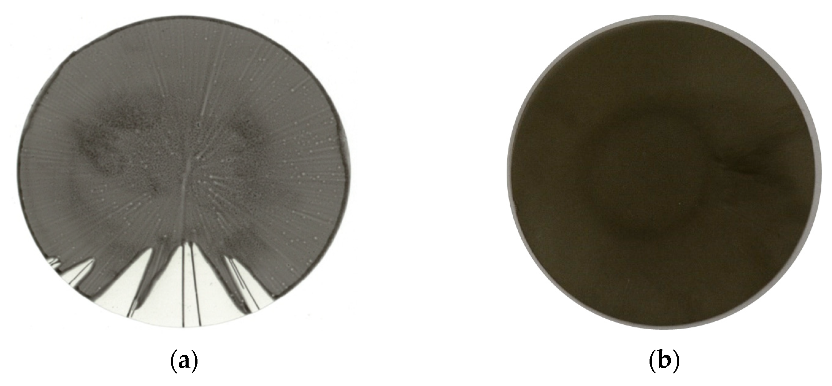 Membranes 12 00087 g008