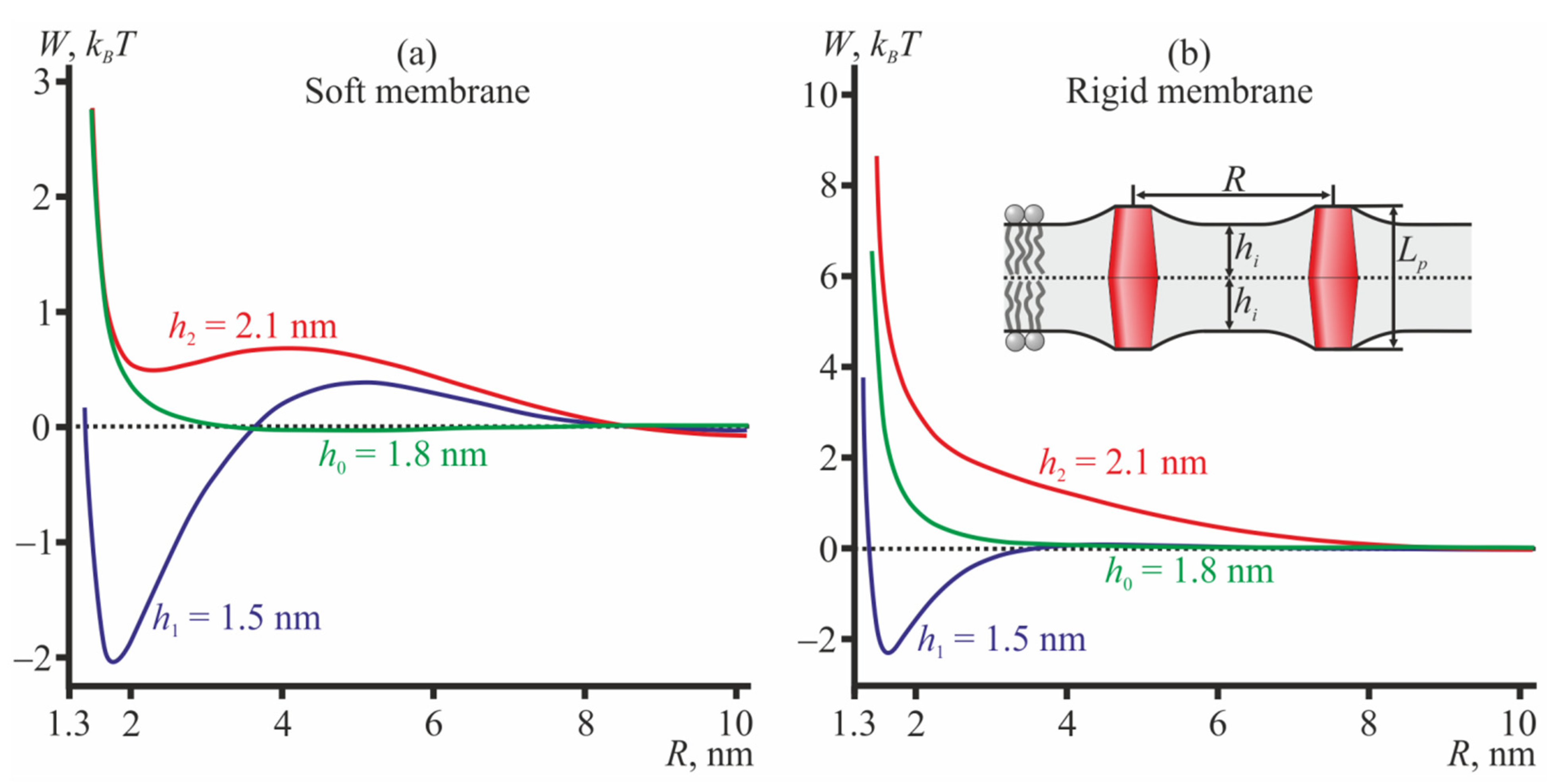 Membranes 12 00089 g004