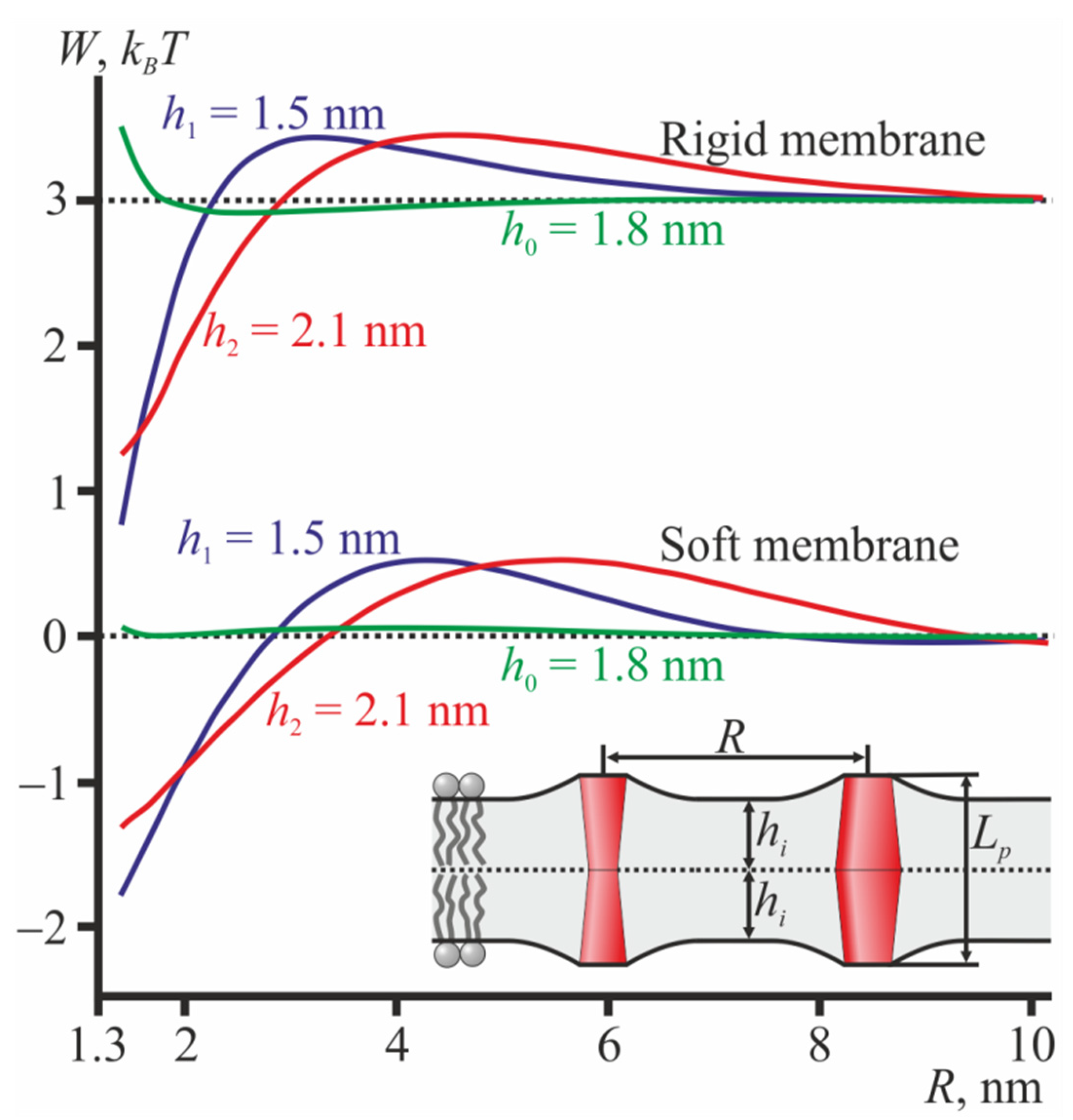 Membranes 12 00089 g005