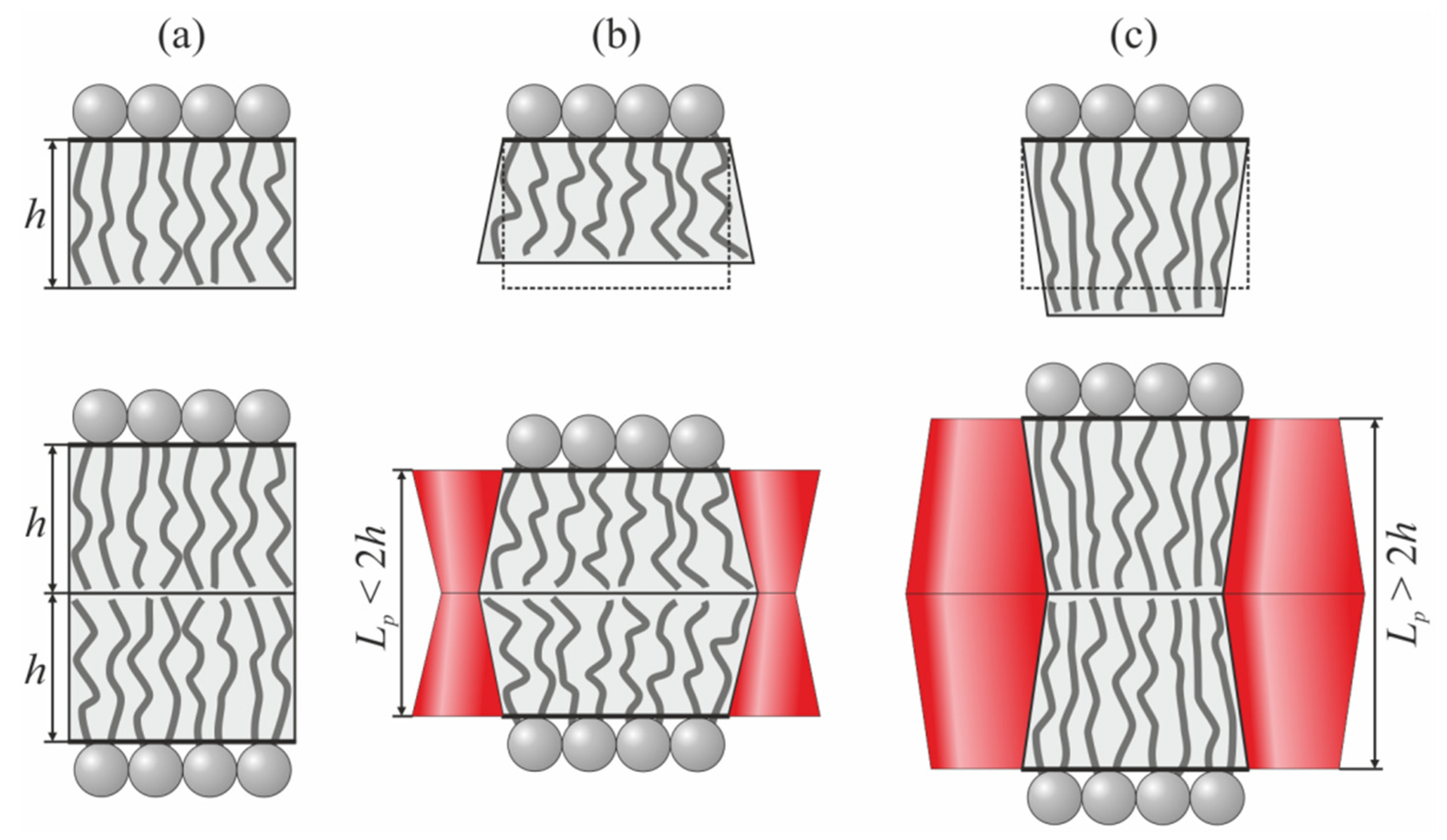 Membranes 12 00089 g006