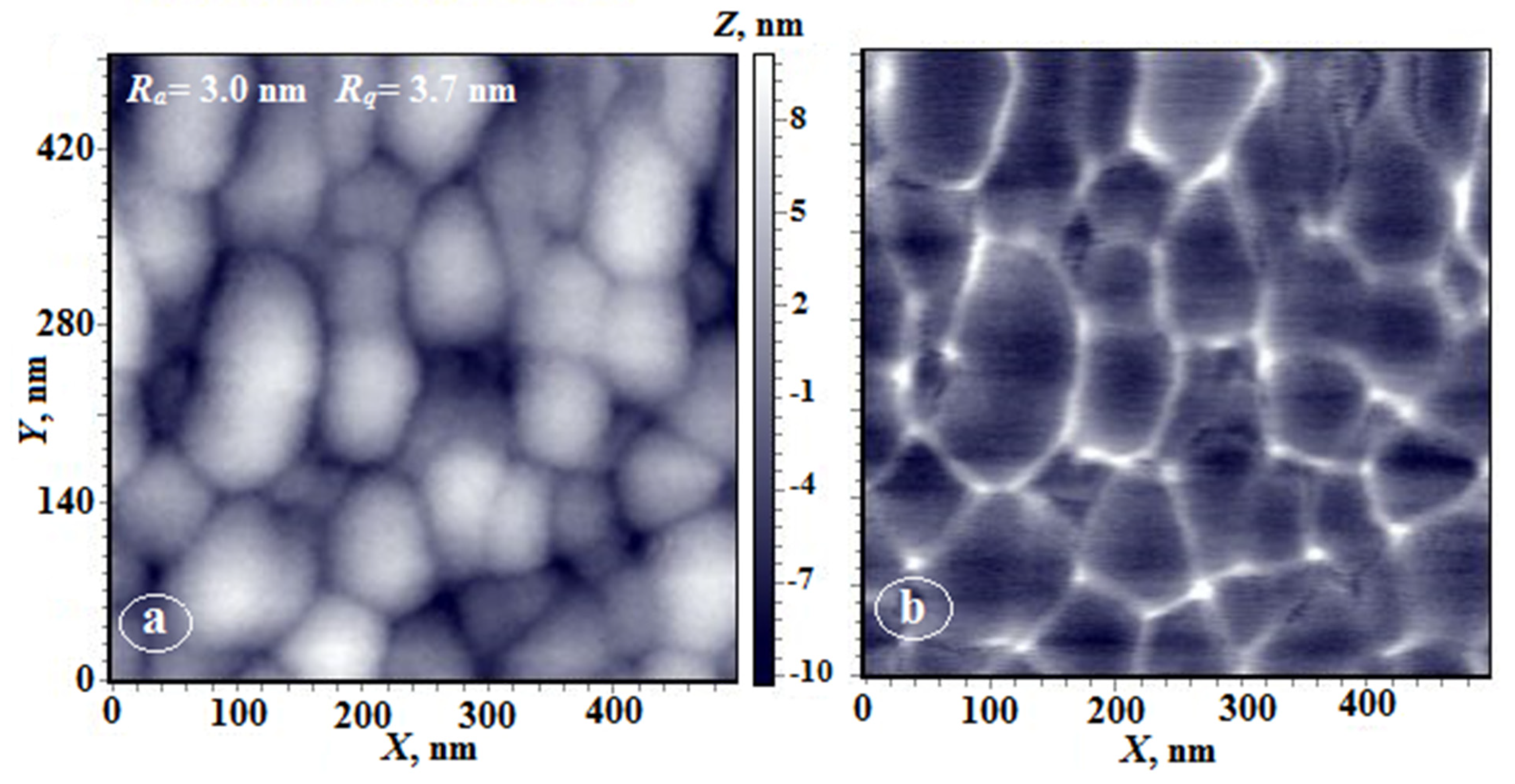 Membranes 12 00091 g011 550