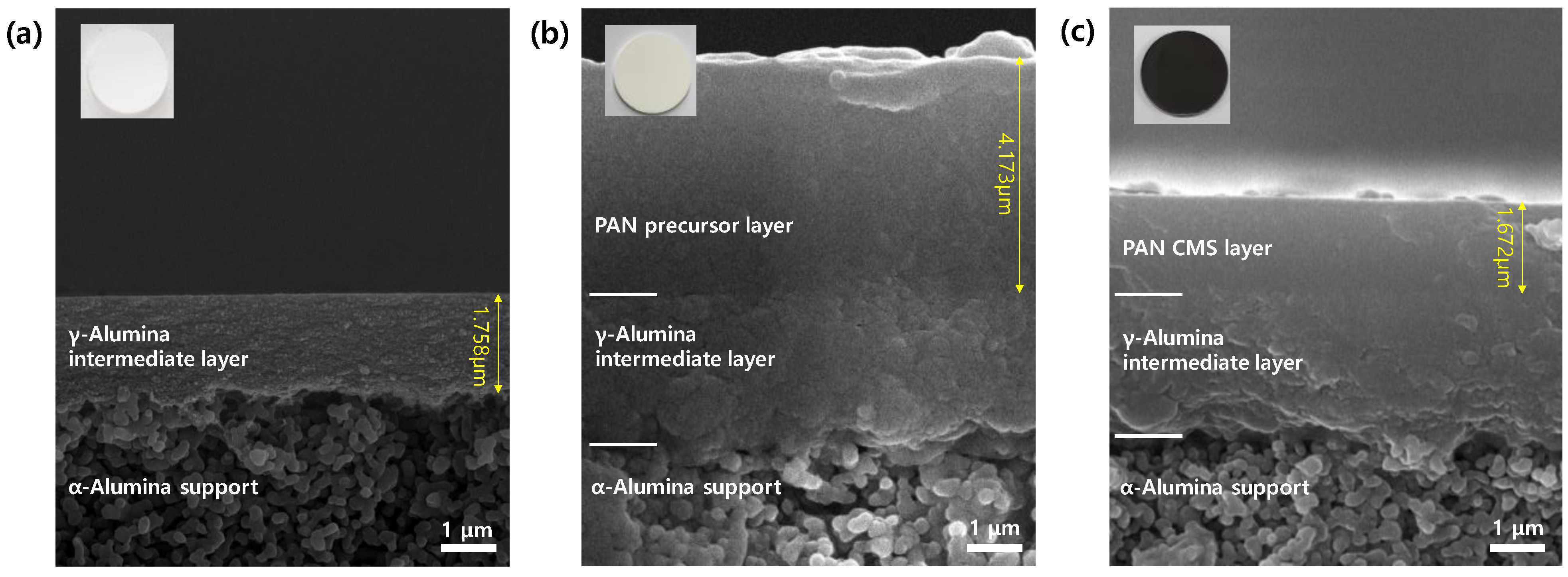 Membranes 12 00093 g003 550