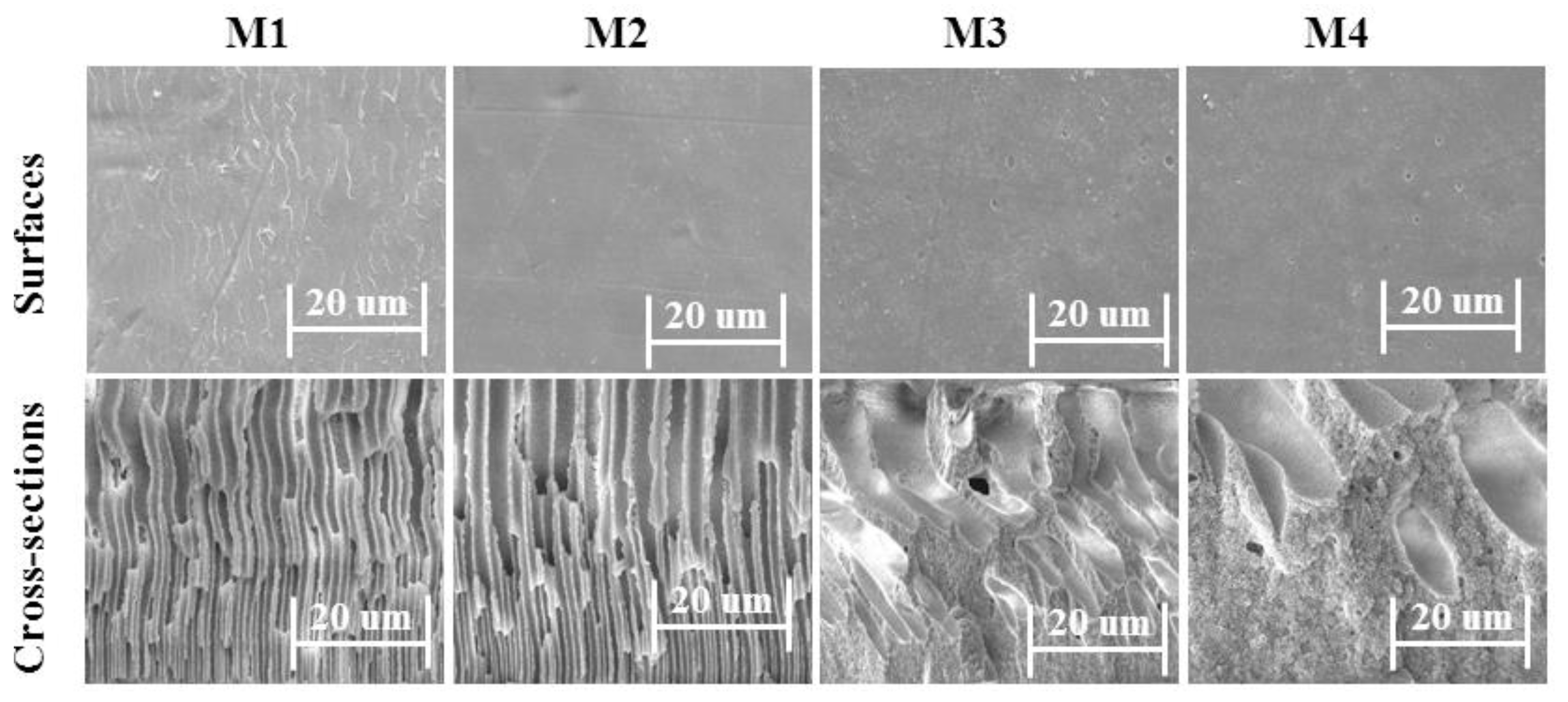 Membranes 12 00095 g009