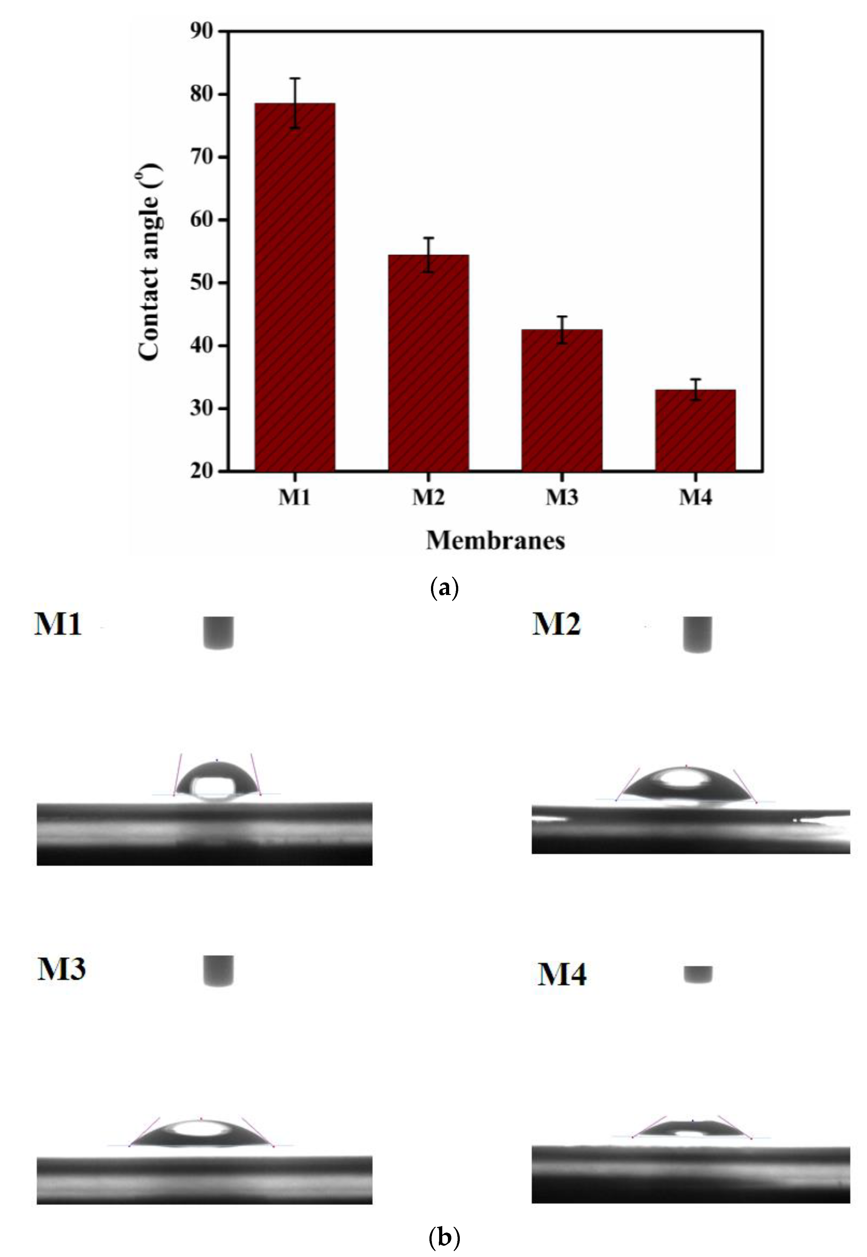 Membranes 12 00095 g012