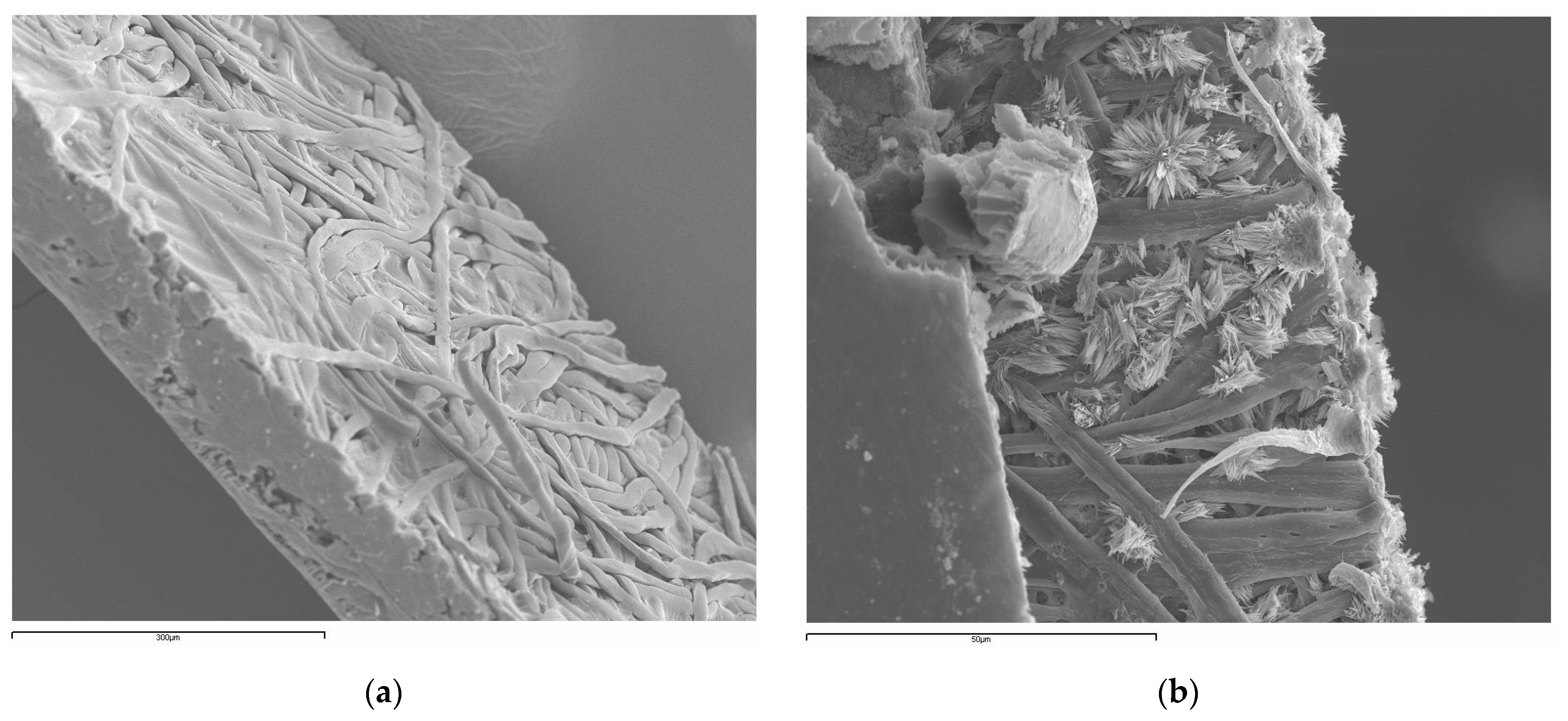 Membranes 12 00096 g007 550