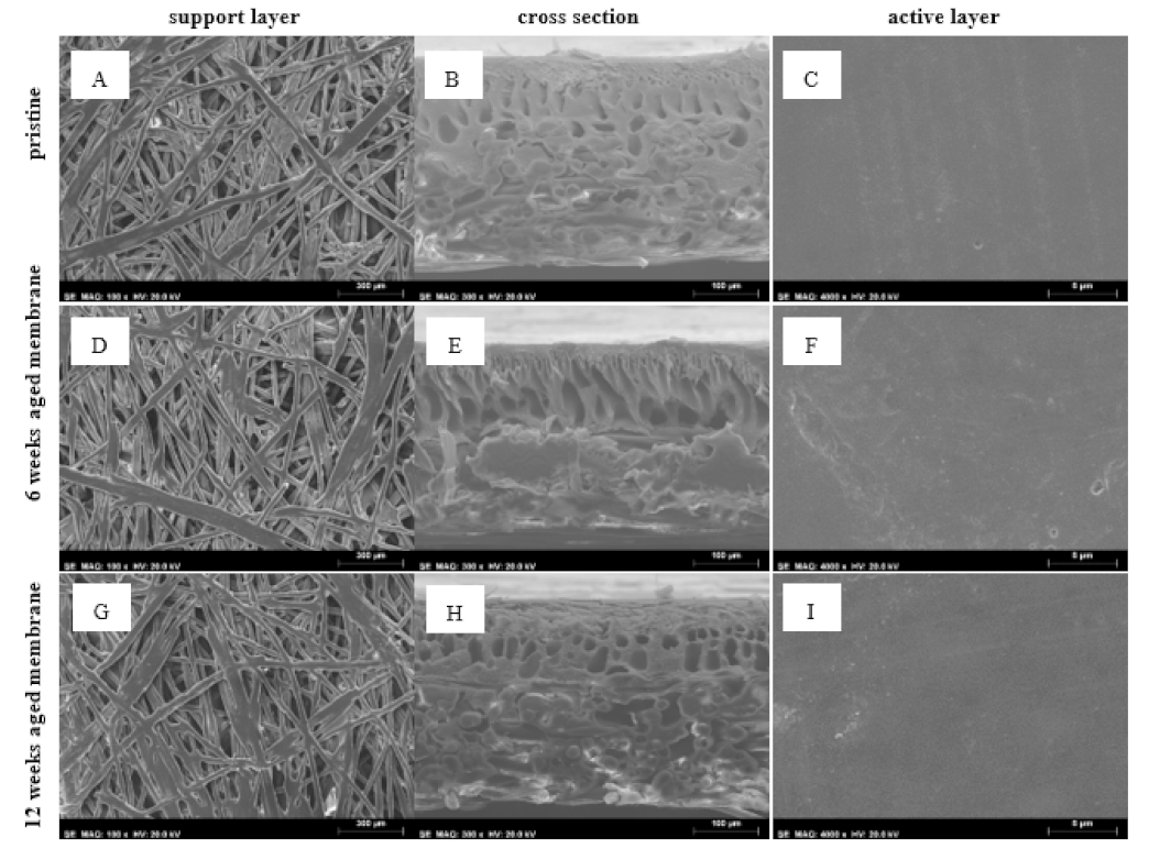 Membranes 12 00098 g004 Membranes 12 00098 g004