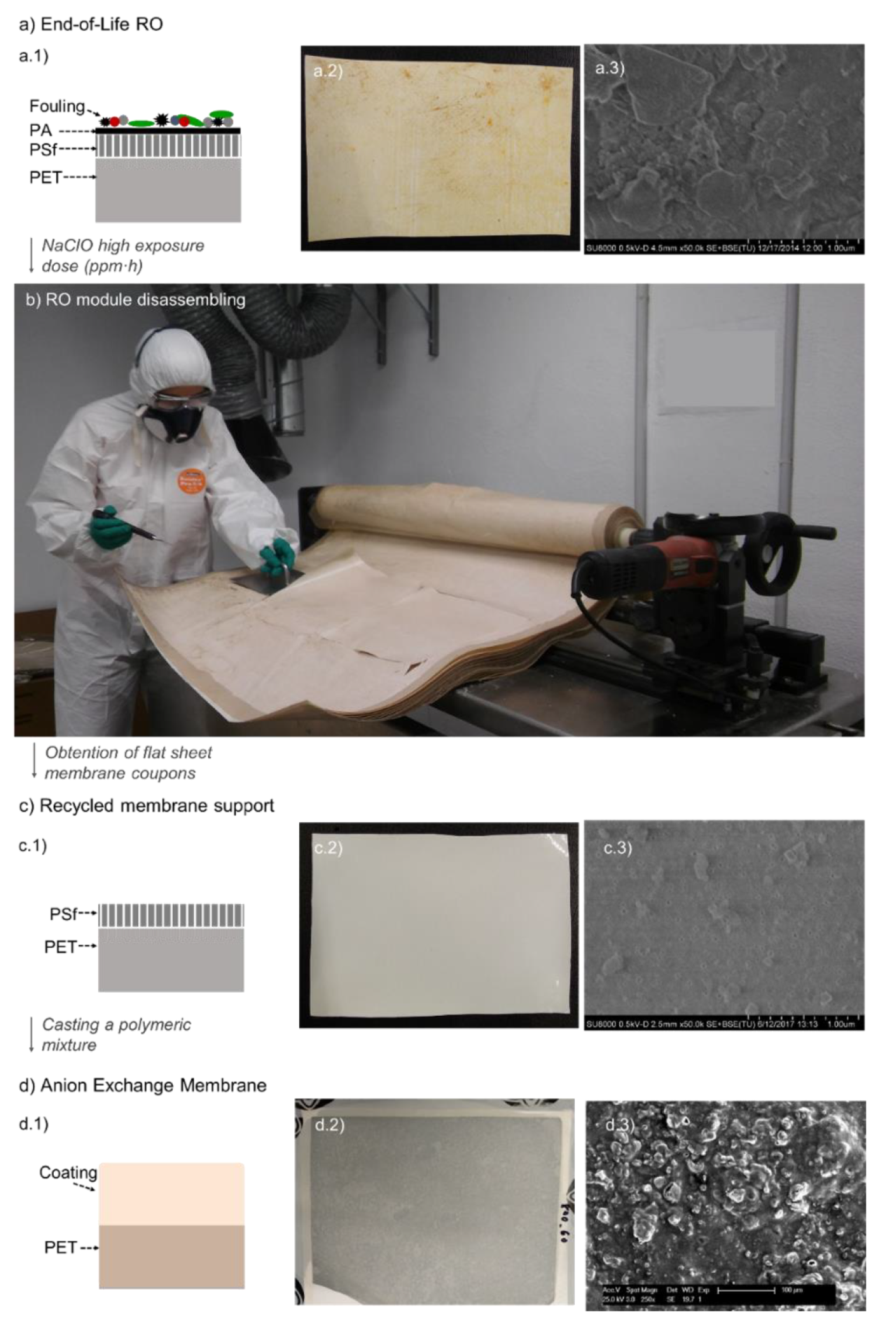 Membranes 12 00101 g001 550