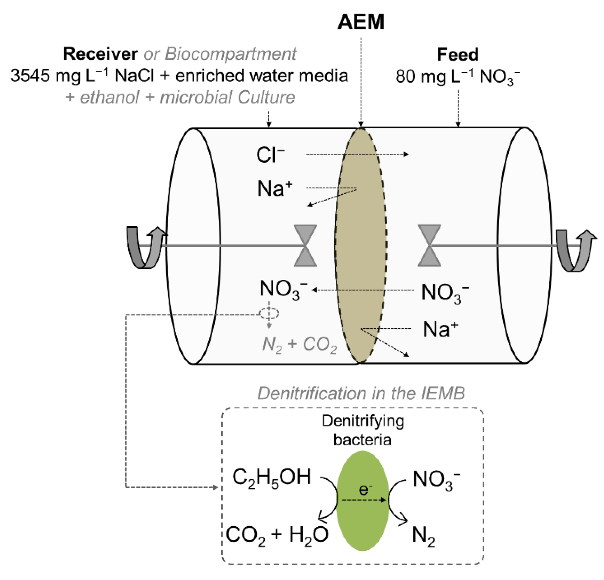 Membranes 12 00101 g002 550